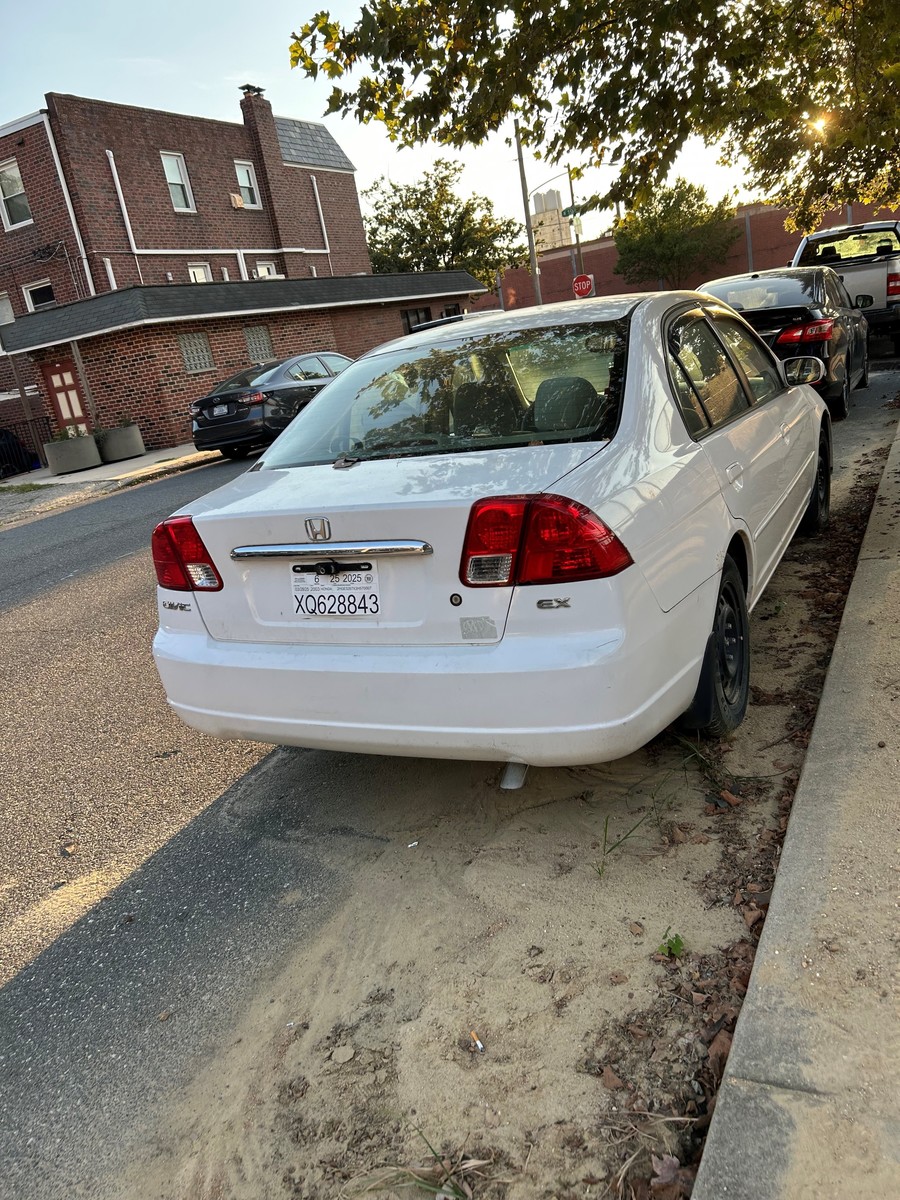 Photographic documentation of the work as submitted to the city's 311 record.