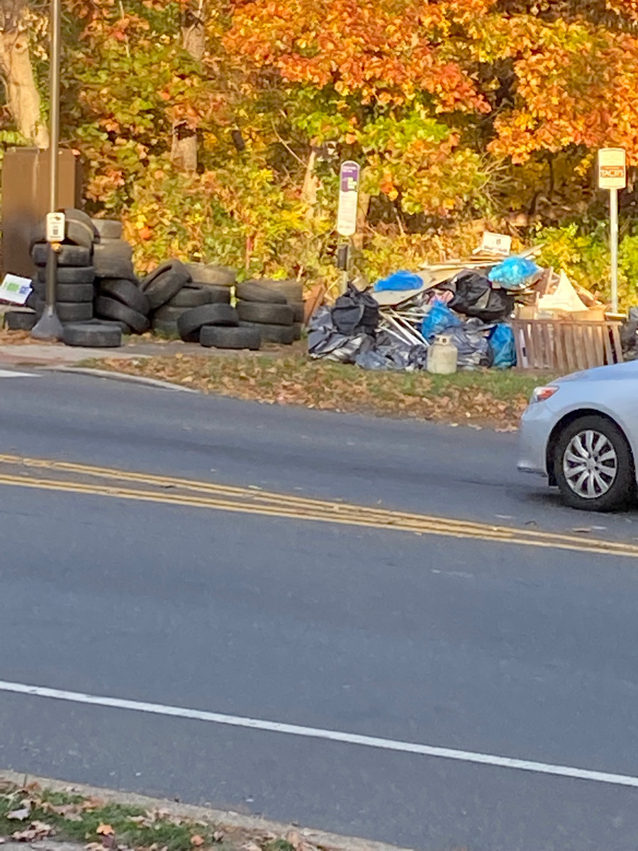 Photographic documentation of the work as submitted to the city's 311 record.