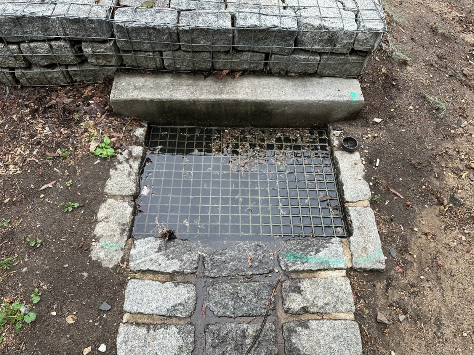 Photographic documentation of the work as submitted to the city's 311 record.