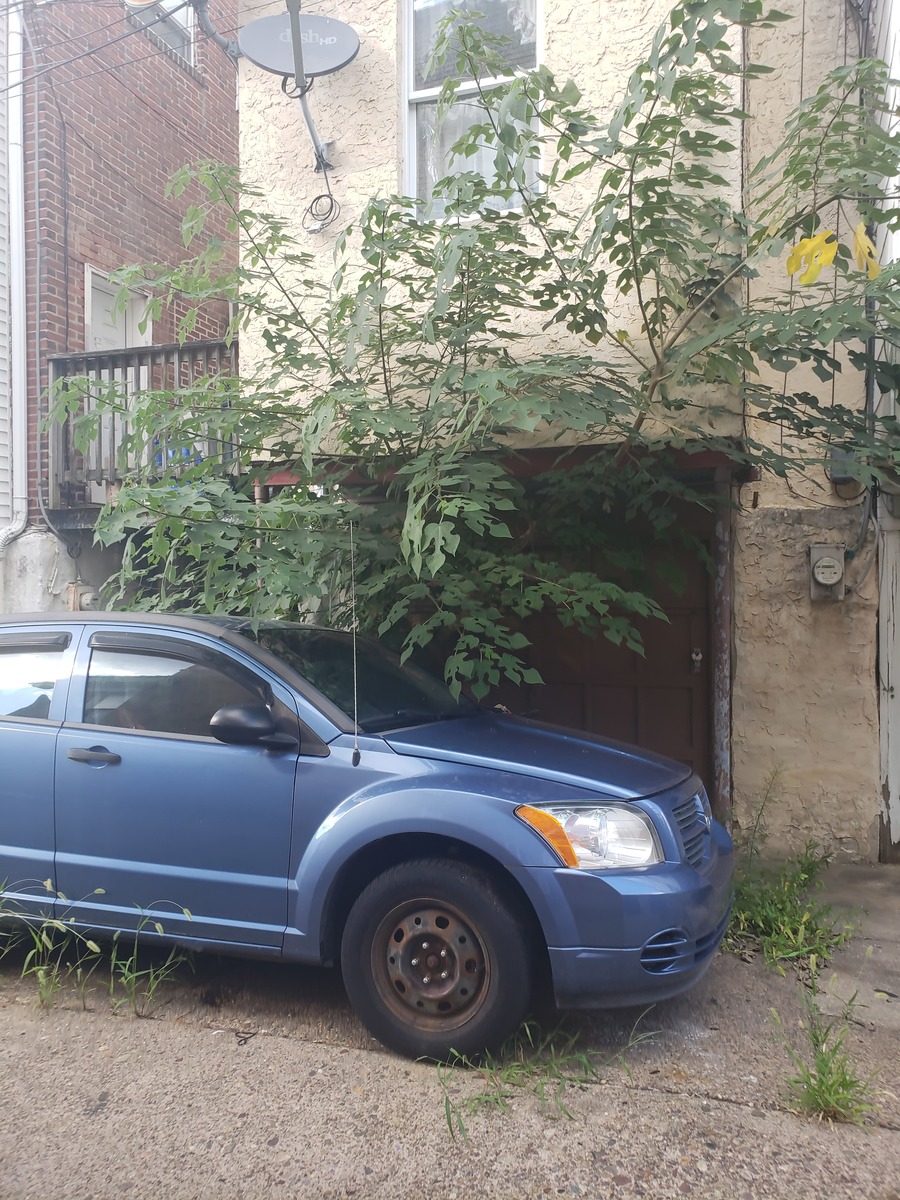 Photographic documentation of the work as submitted to the city's 311 record.