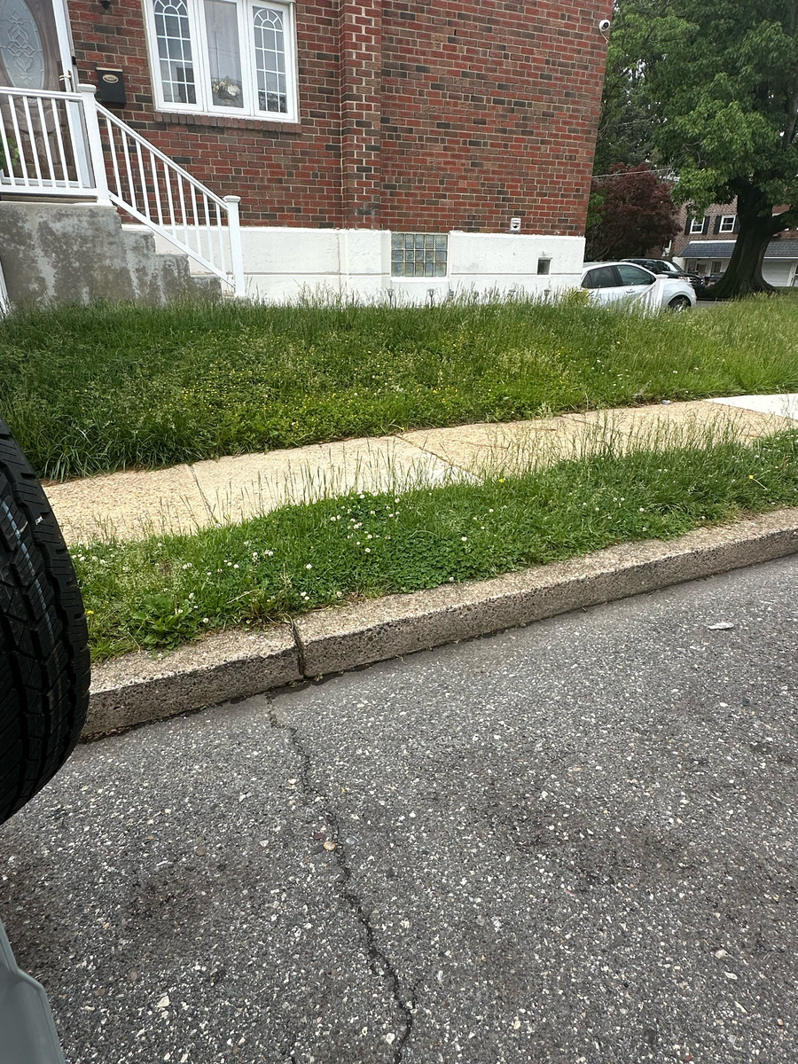 Photographic documentation of the work as submitted to the city's 311 record.