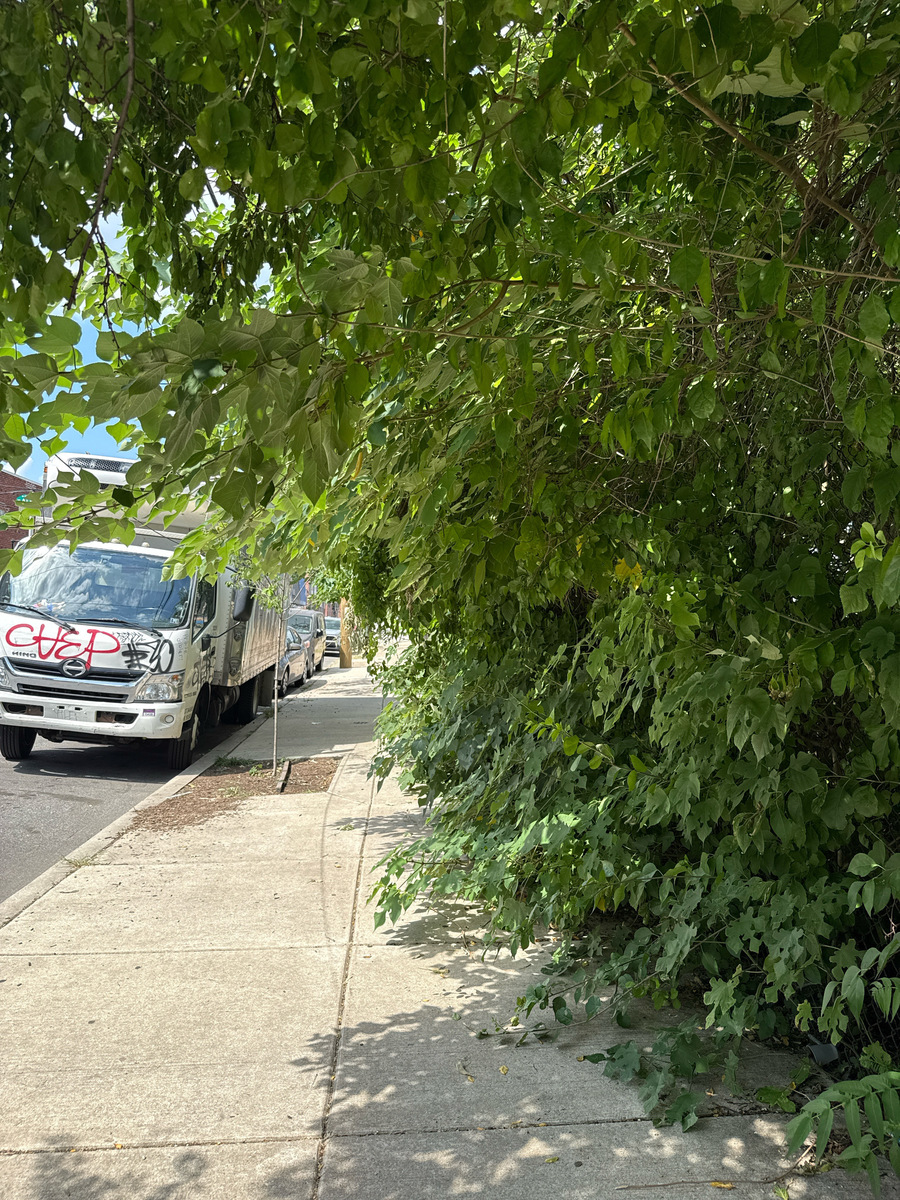 Photographic documentation of the work as submitted to the city's 311 record.