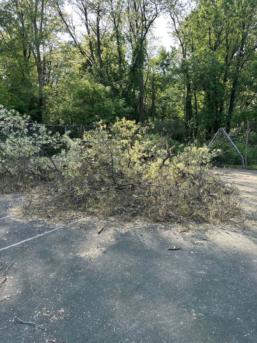 Photographic documentation of the work as submitted to the city's 311 record.