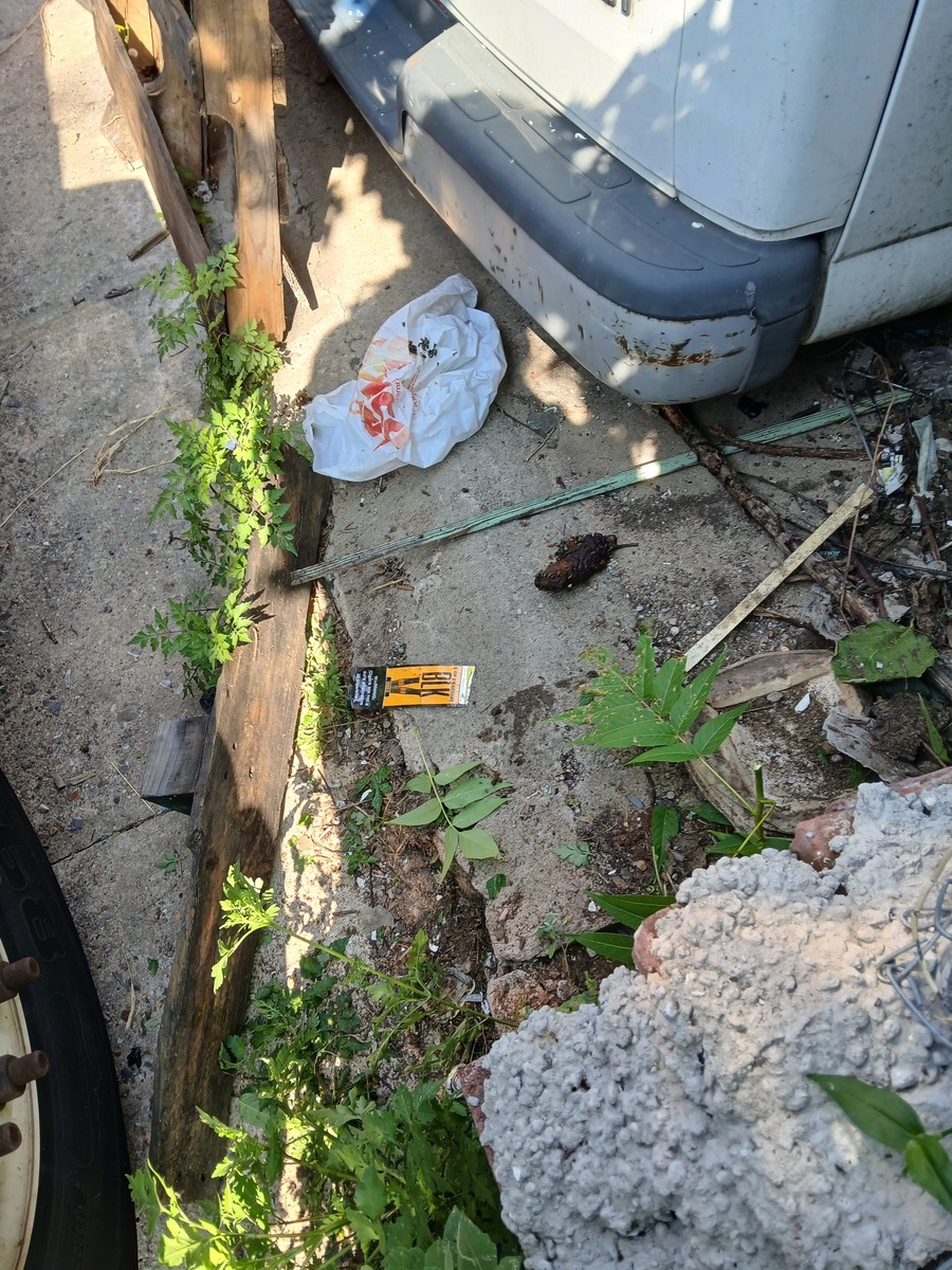 Photographic documentation of the work as submitted to the city's 311 record.