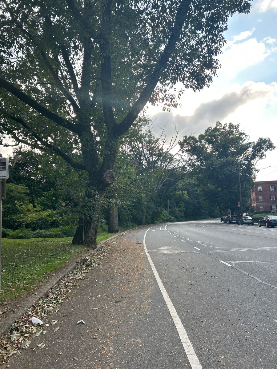 Photographic documentation of the work as submitted to the city's 311 record.