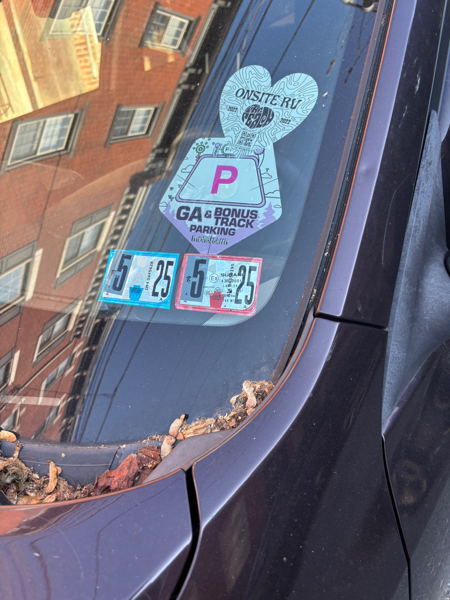 Photographic documentation of the work as submitted to the city's 311 record.