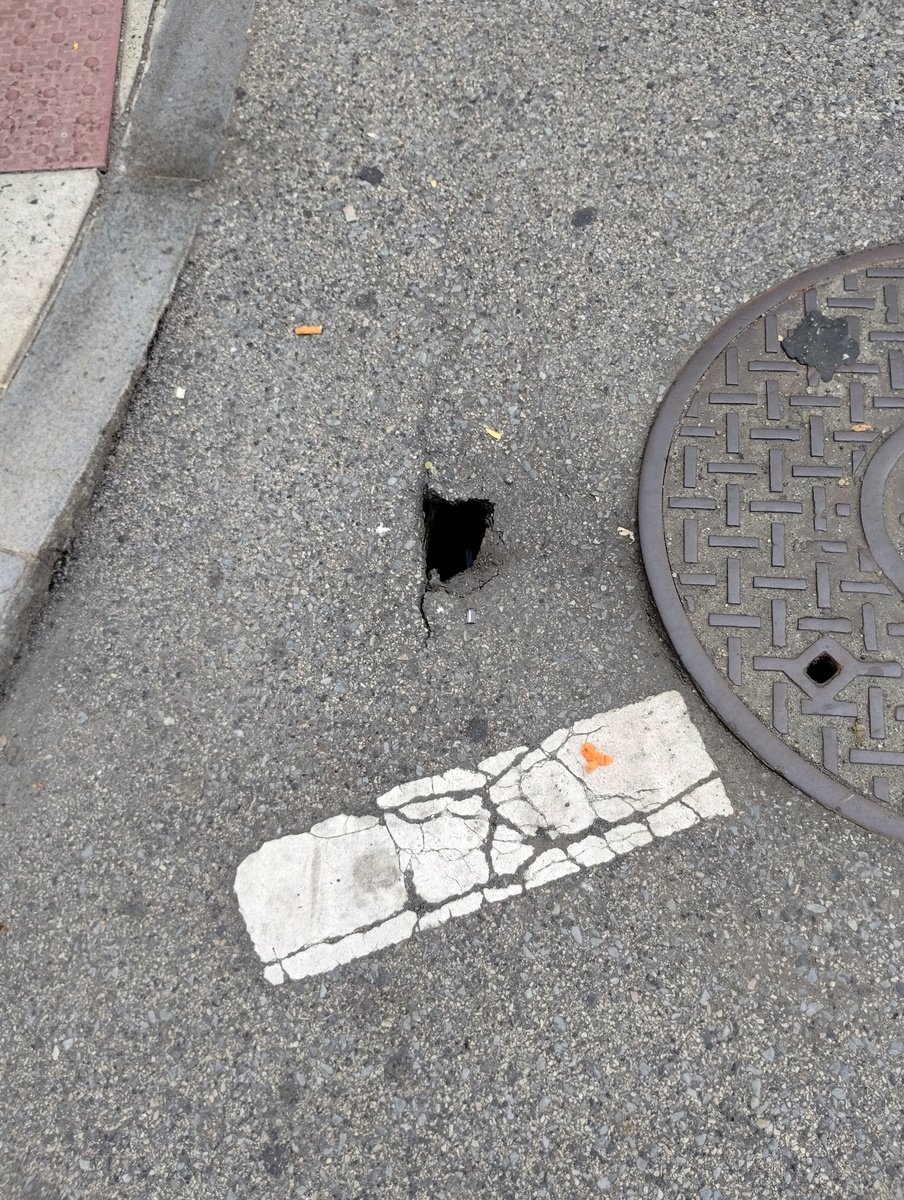 Photographic documentation of the work as submitted to the city's 311 record.