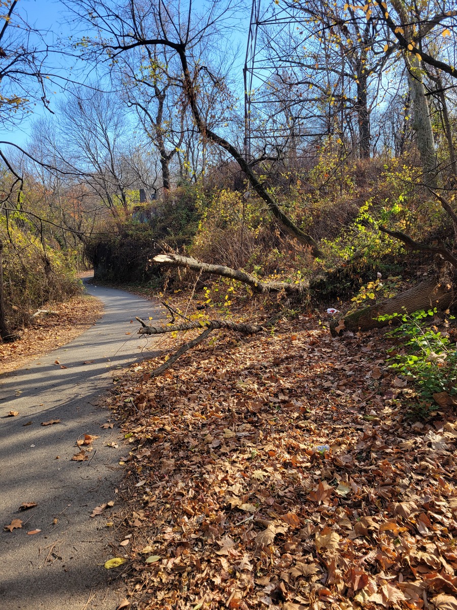 Photographic documentation of the work as submitted to the city's 311 record.