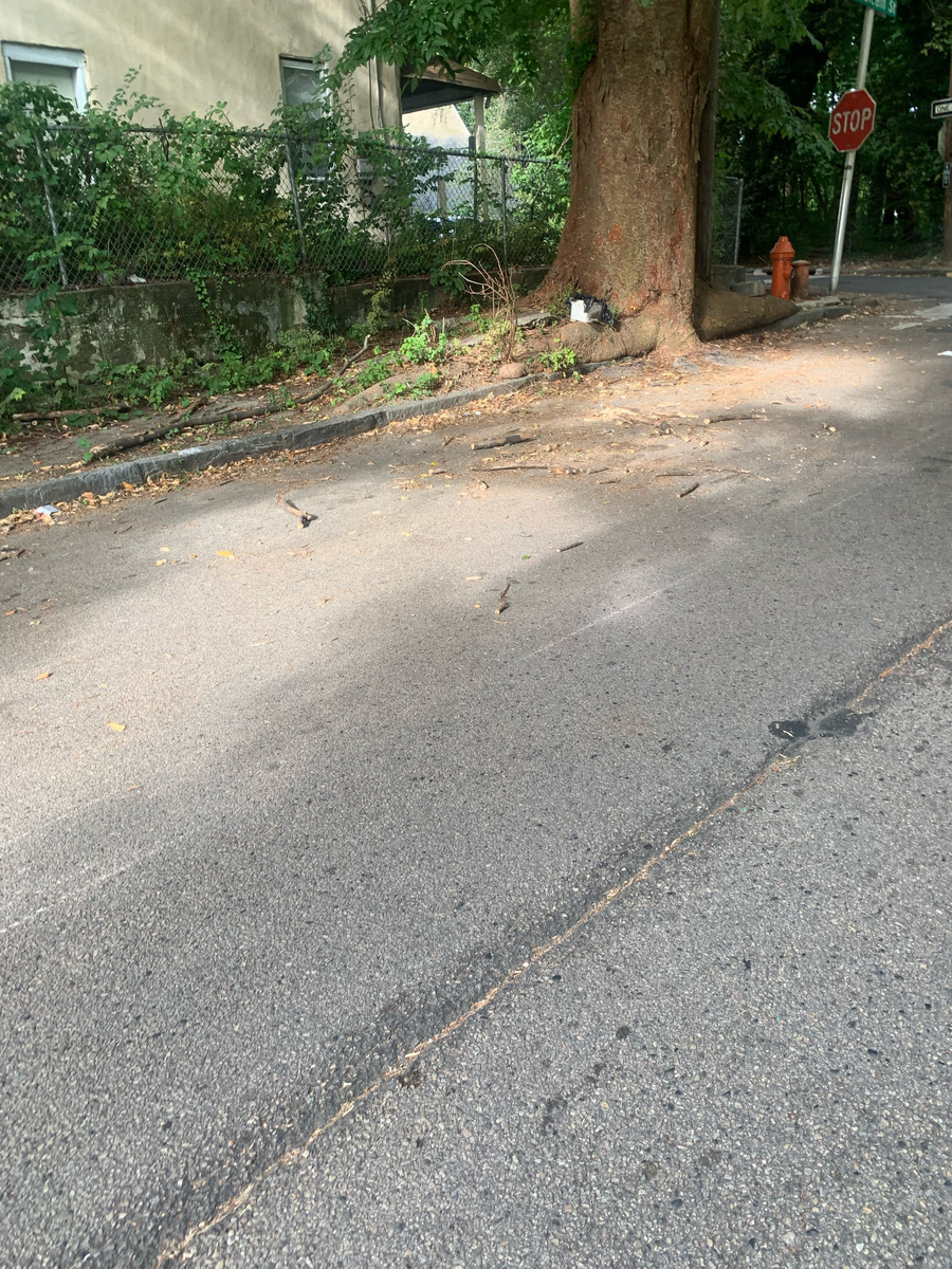 Photographic documentation of the work as submitted to the city's 311 record.