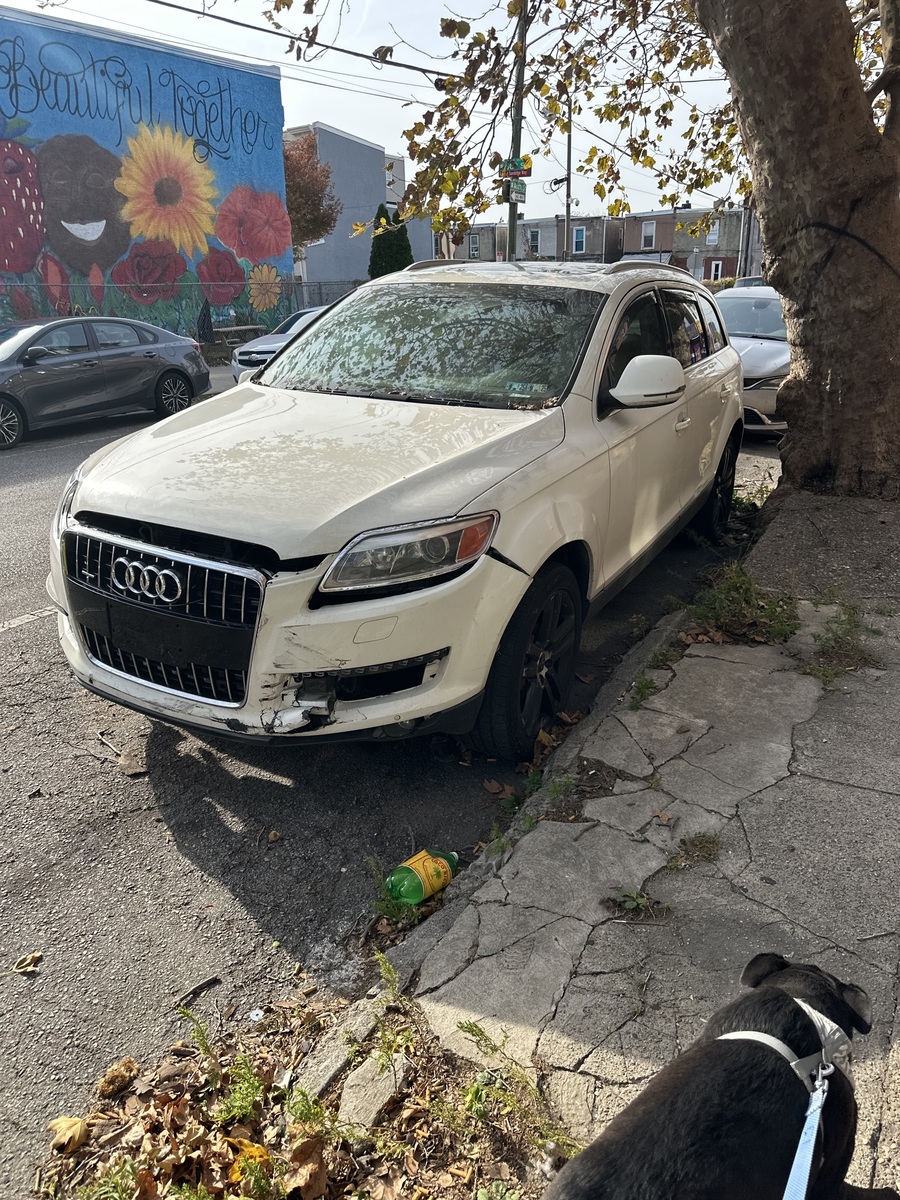 Photographic documentation of the work as submitted to the city's 311 record.