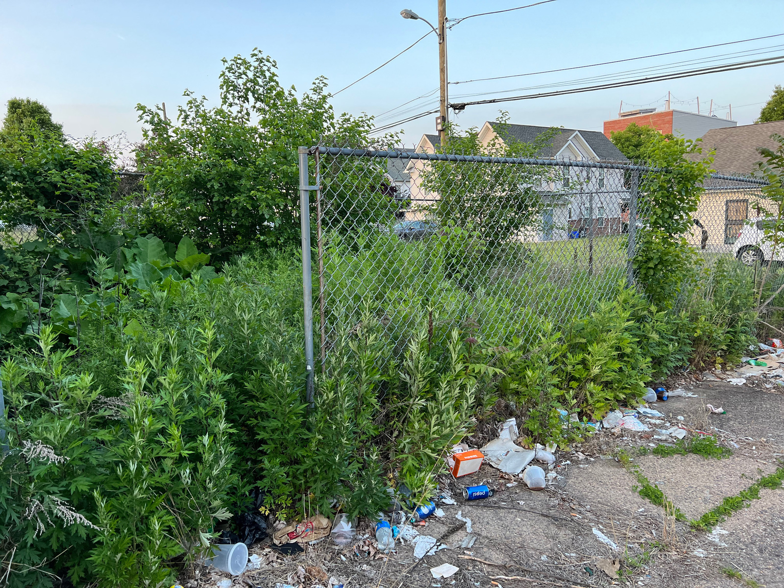 Photographic documentation of the work as submitted to the city's 311 record.