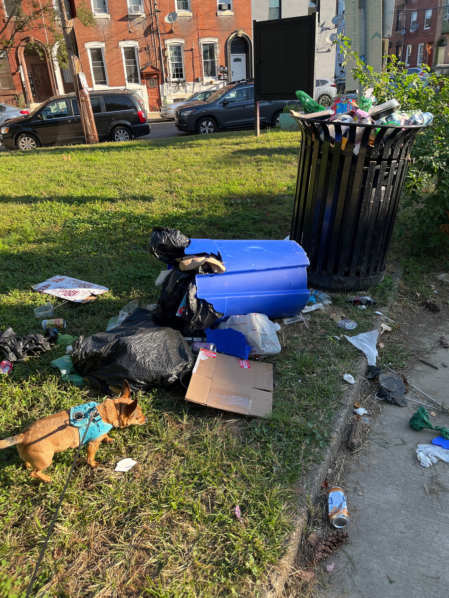Photographic documentation of the work as submitted to the city's 311 record.