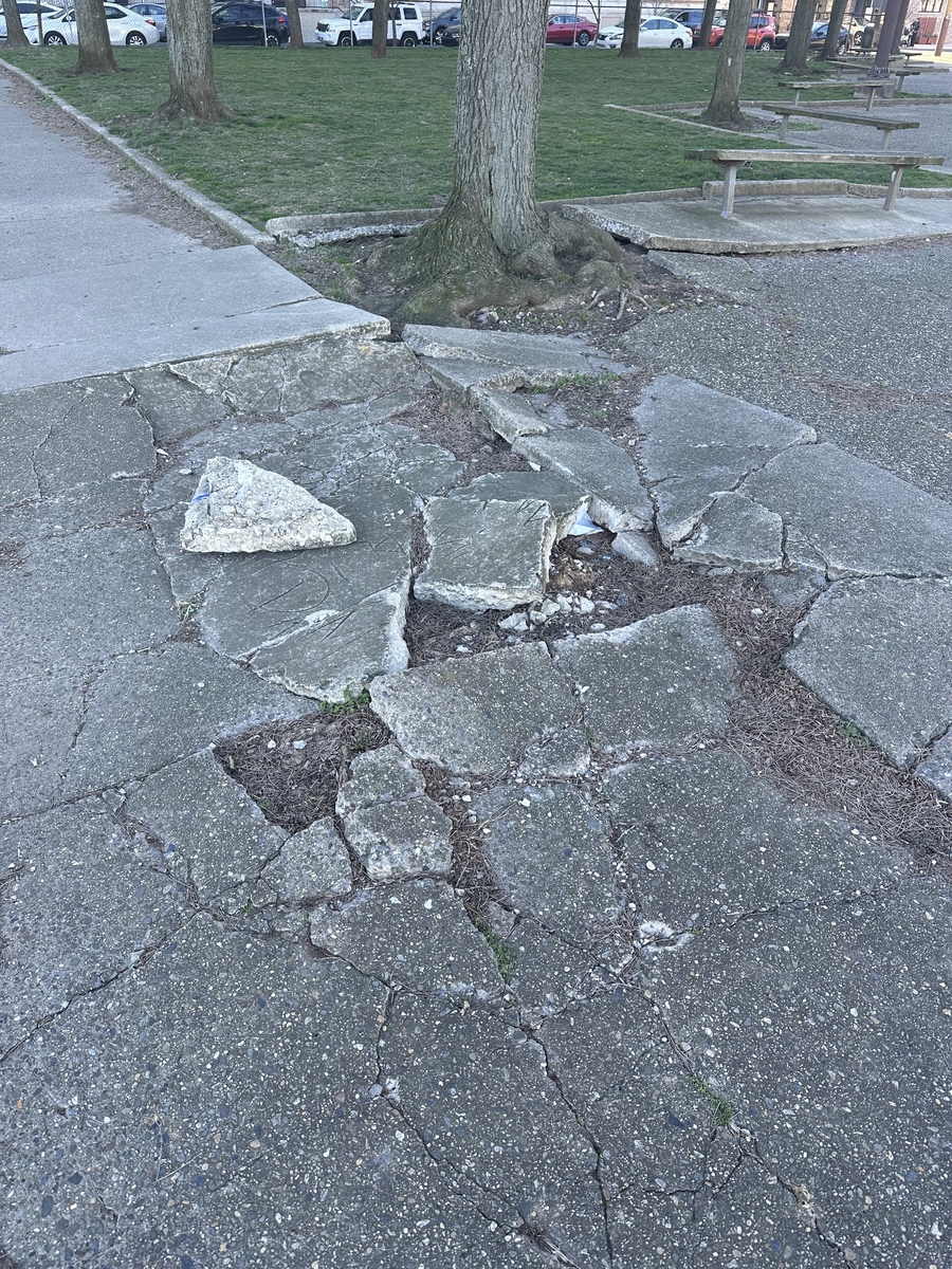 Photographic documentation of the work as submitted to the city's 311 record.