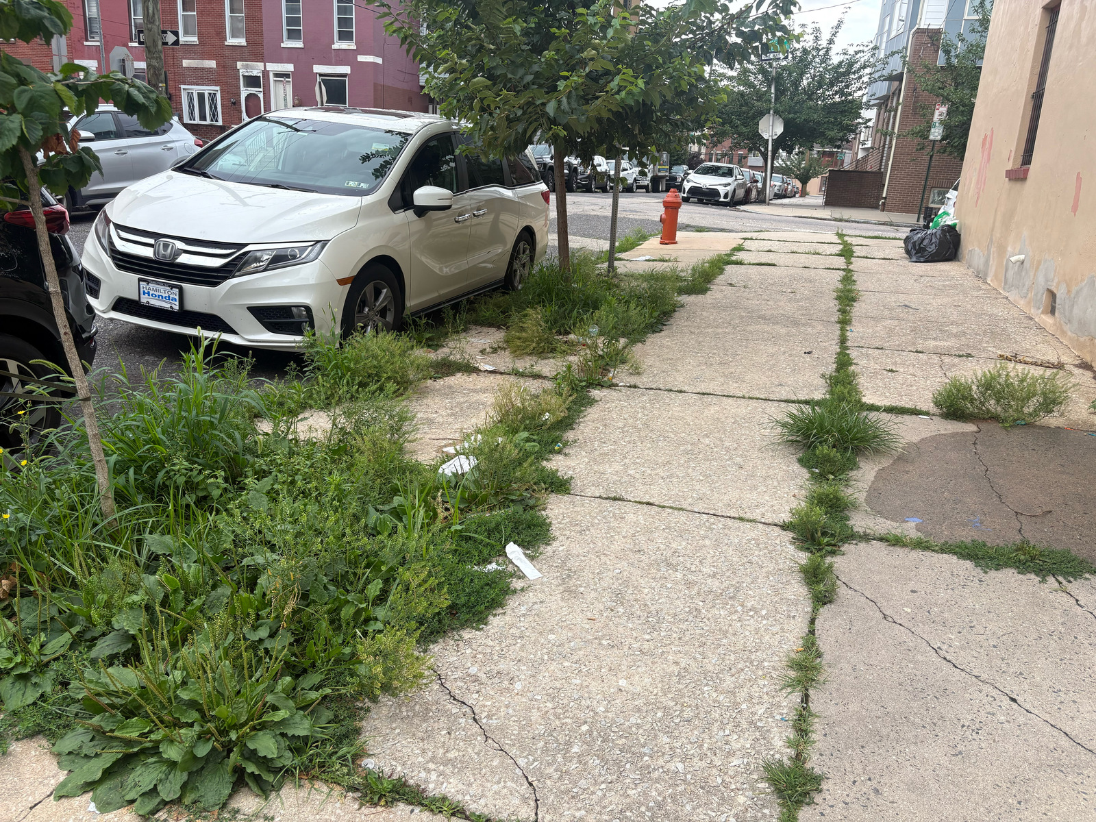 Photographic documentation of the work as submitted to the city's 311 record.