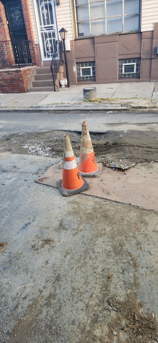 Photographic documentation of the work as submitted to the city's 311 record.