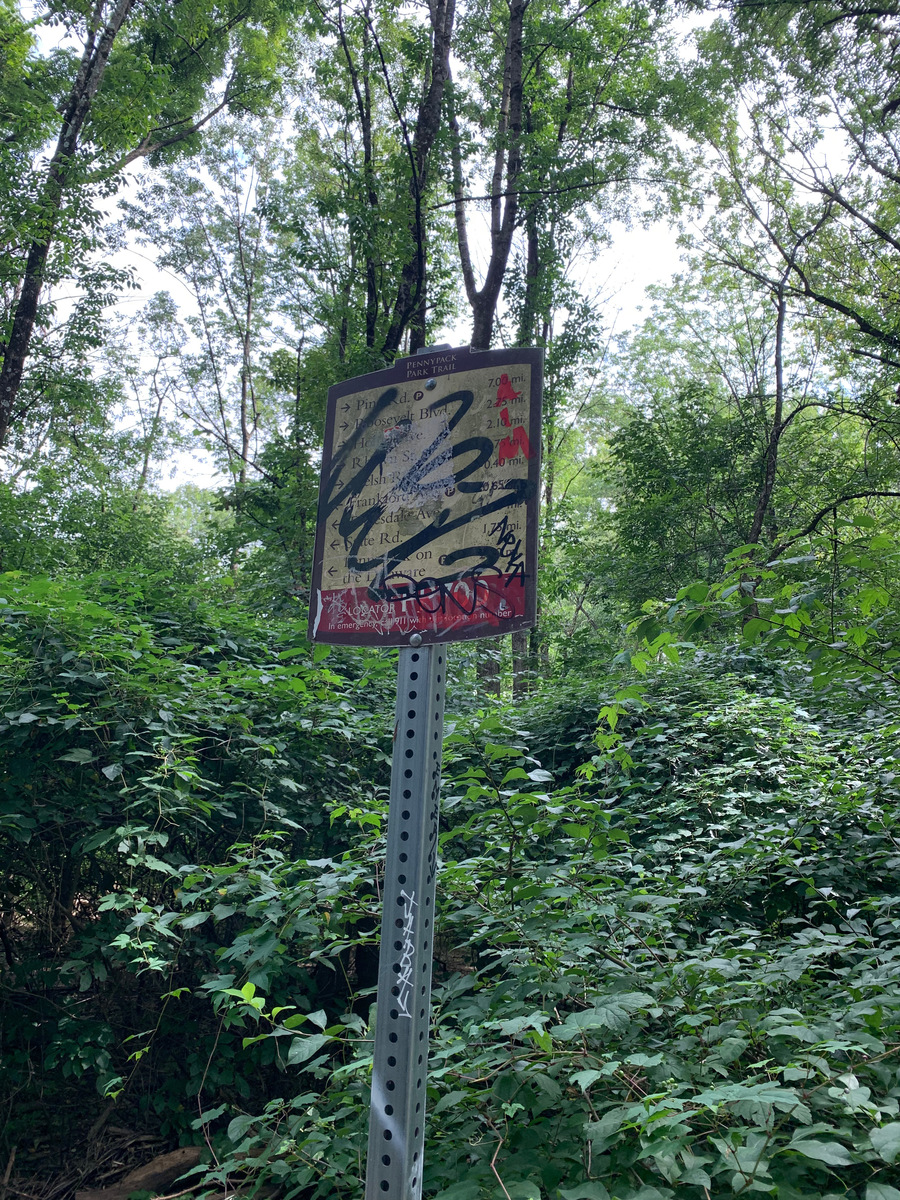 Photographic documentation of the work as submitted to the city's 311 record.