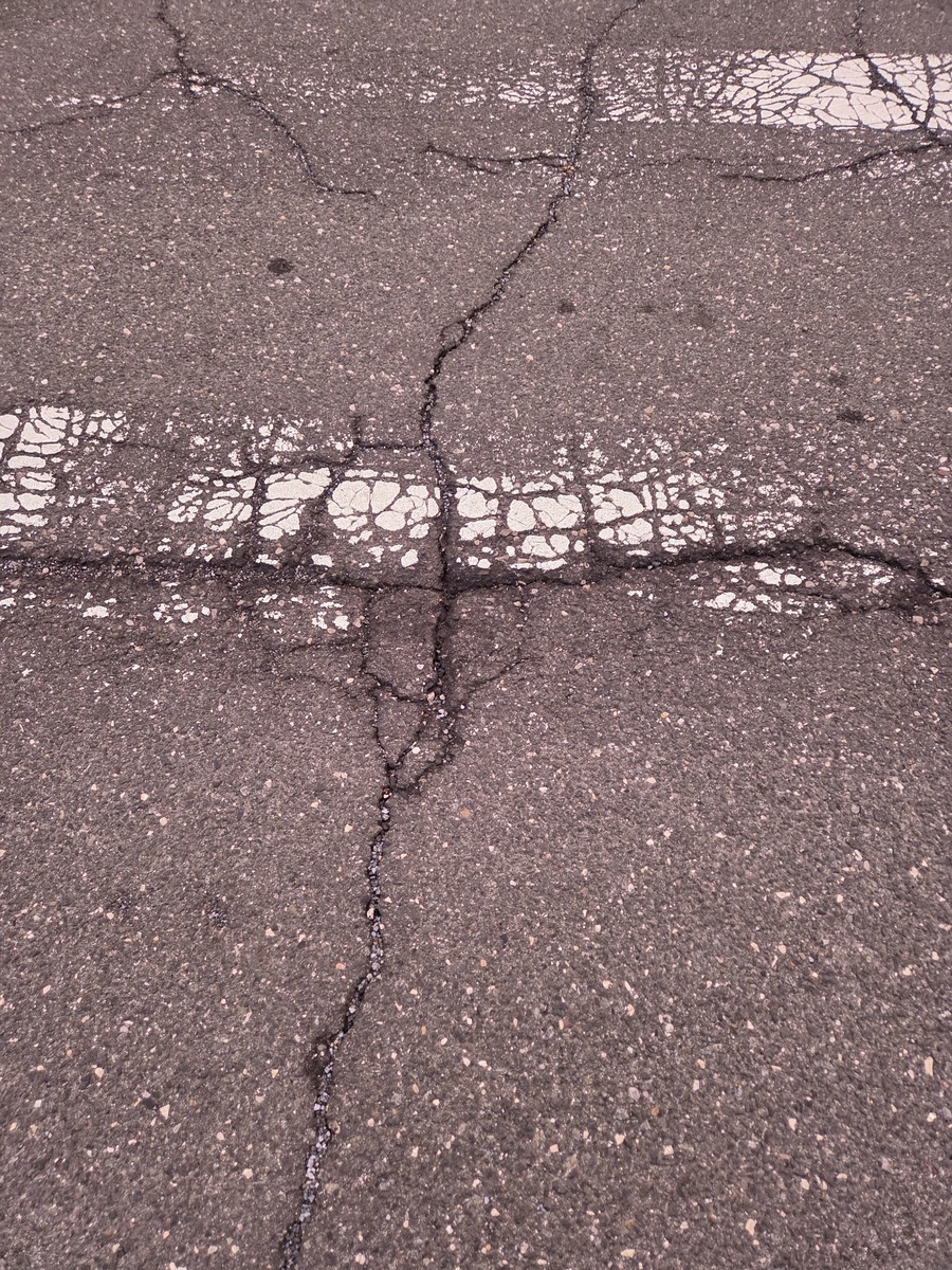 Photographic documentation of the work as submitted to the city's 311 record.