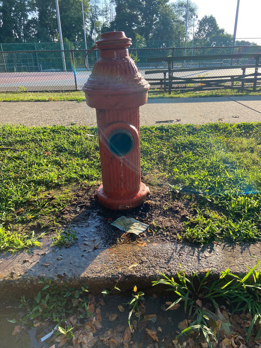 Photographic documentation of the work as submitted to the city's 311 record.