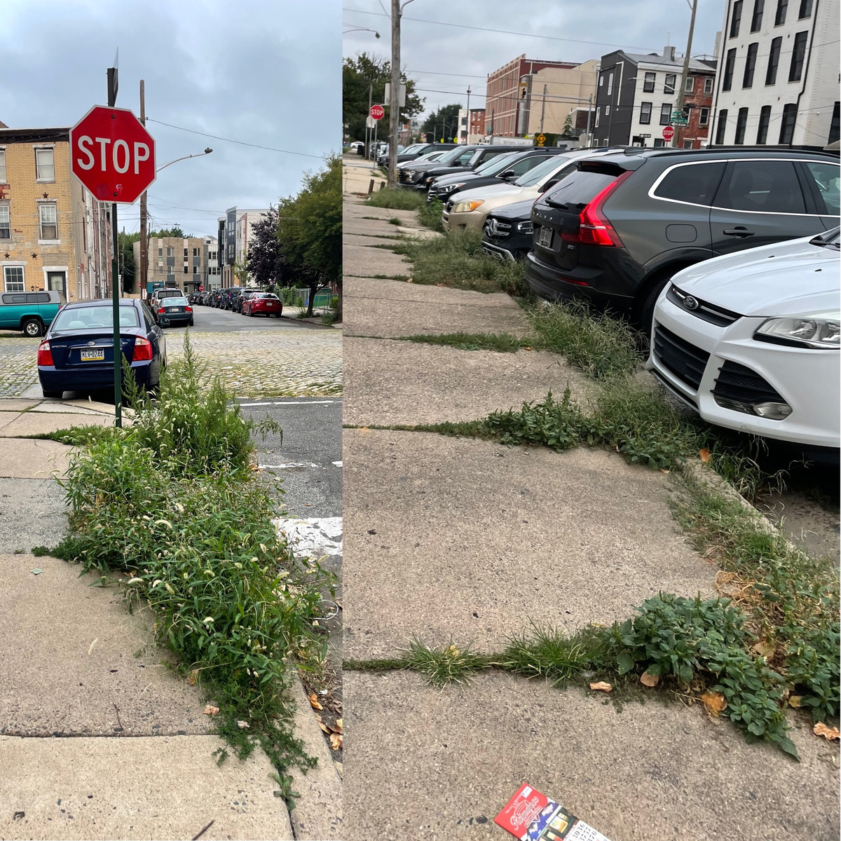 Photographic documentation of the work as submitted to the city's 311 record.