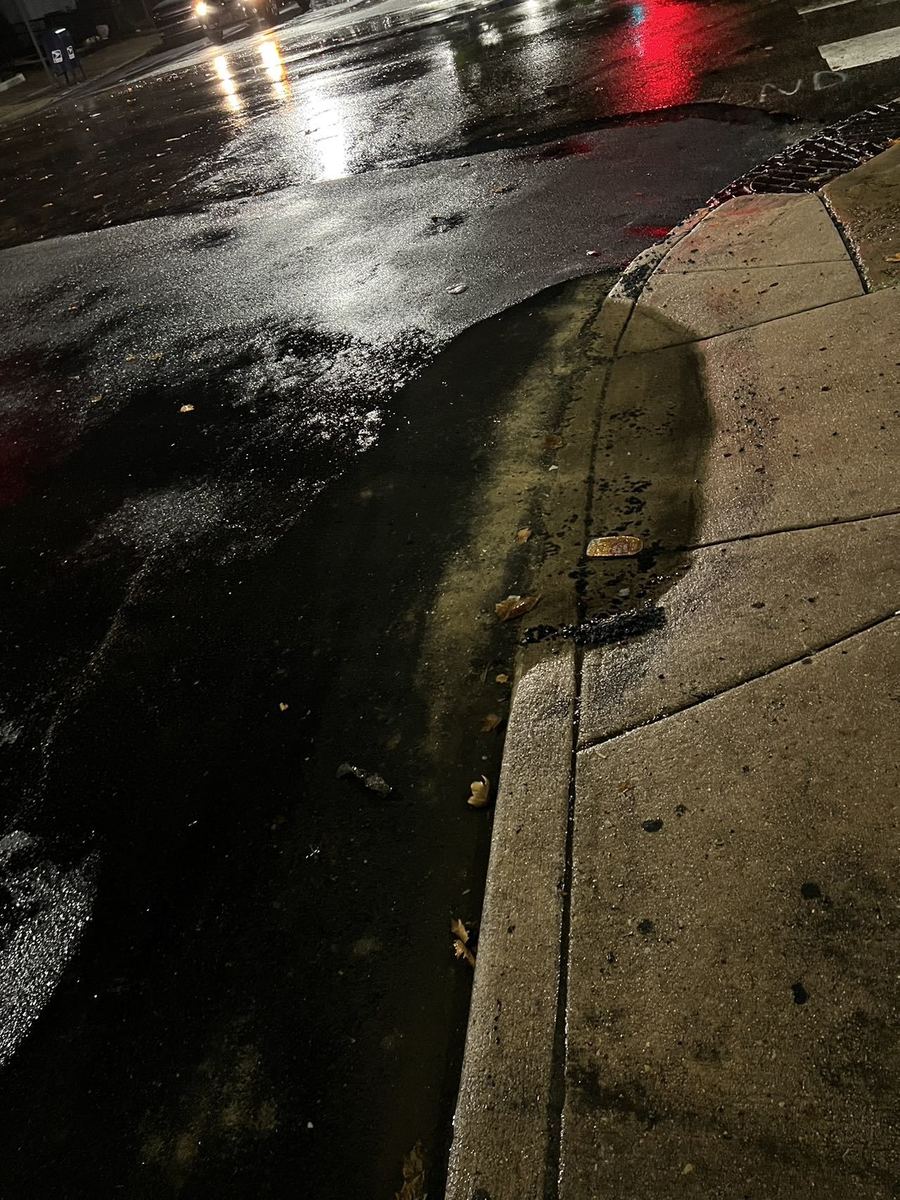 Photographic documentation of the work as submitted to the city's 311 record.