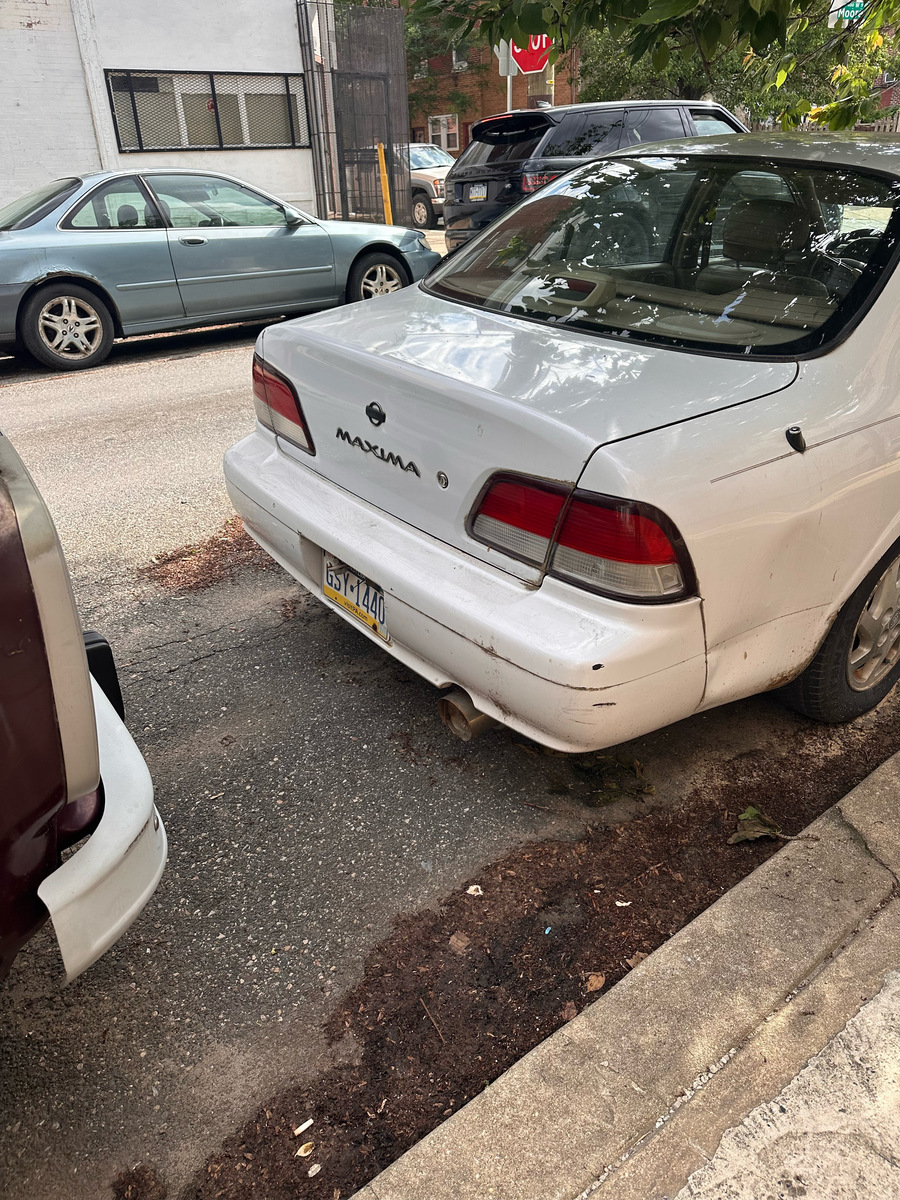 Photographic documentation of the work as submitted to the city's 311 record.