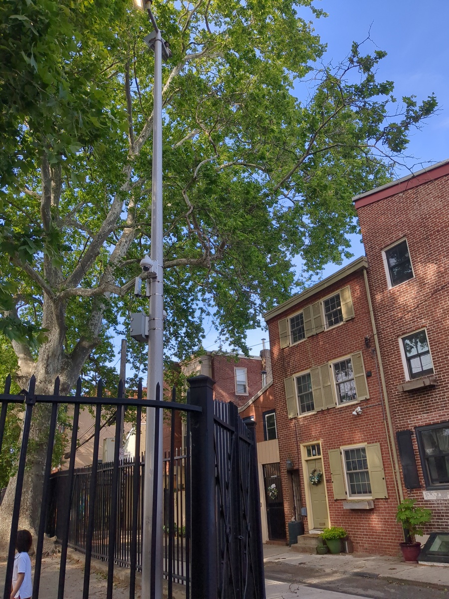 Photographic documentation of the work as submitted to the city's 311 record.