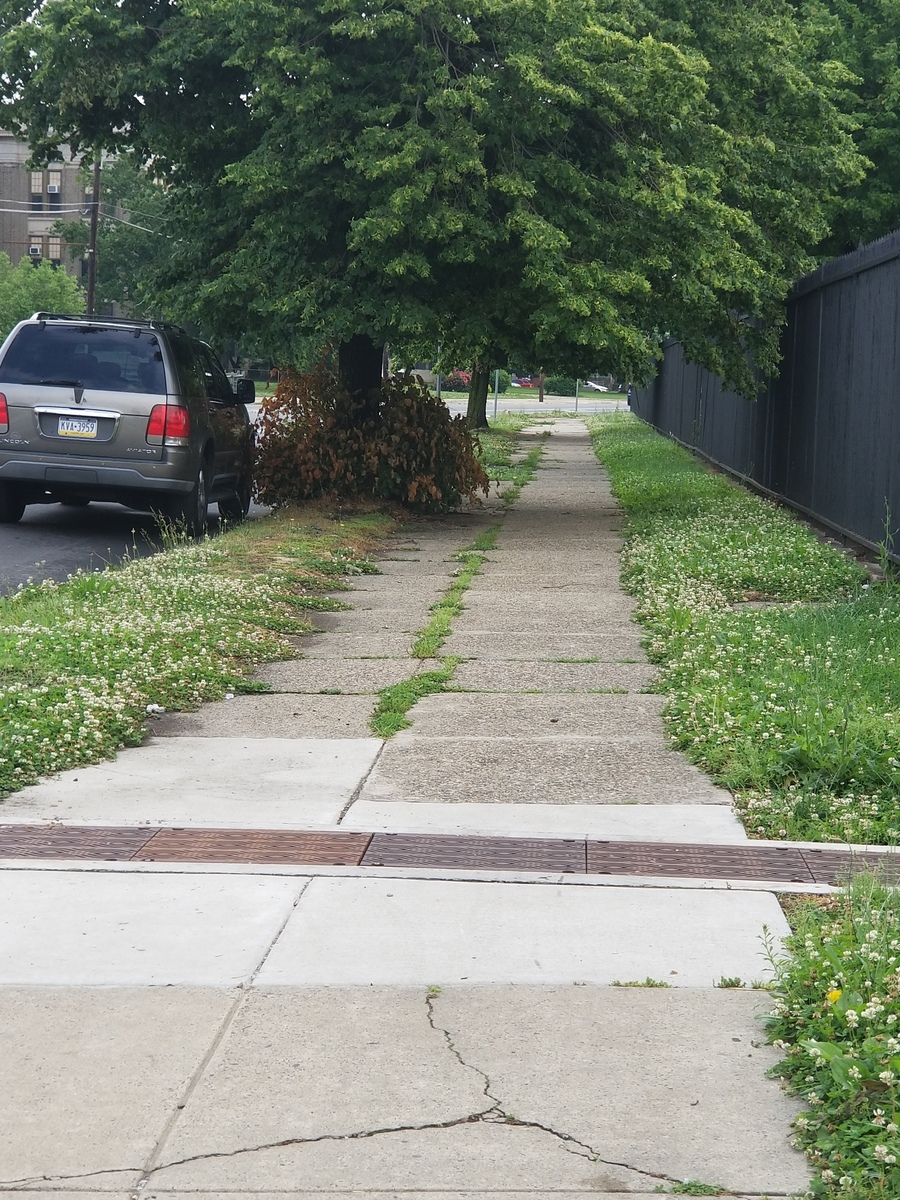 Photographic documentation of the work as submitted to the city's 311 record.