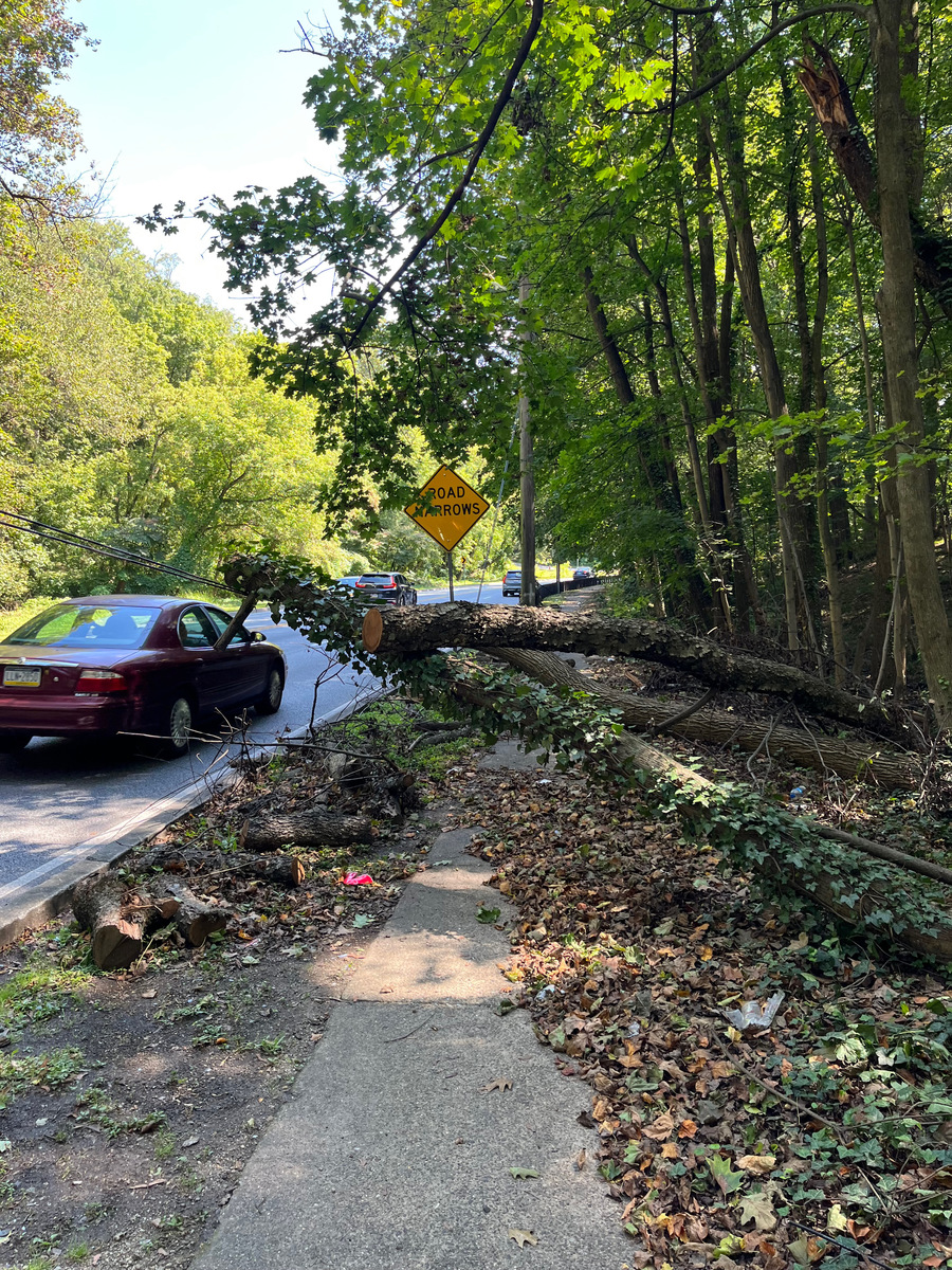 Photographic documentation of the work as submitted to the city's 311 record.