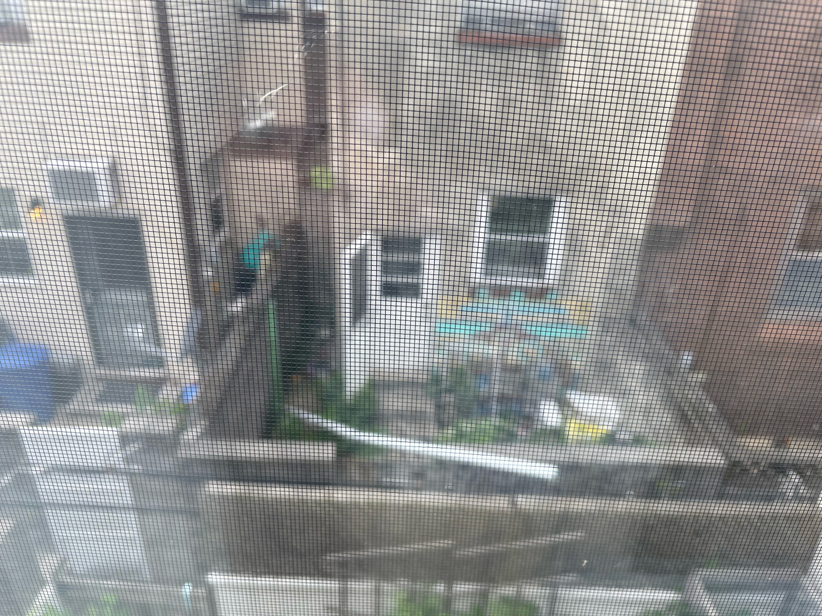Photographic documentation of the work as submitted to the city's 311 record.