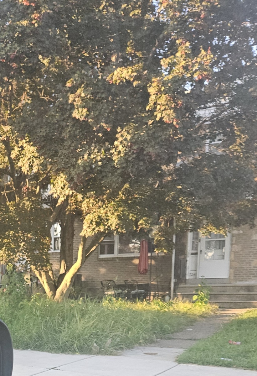 Photographic documentation of the work as submitted to the city's 311 record.