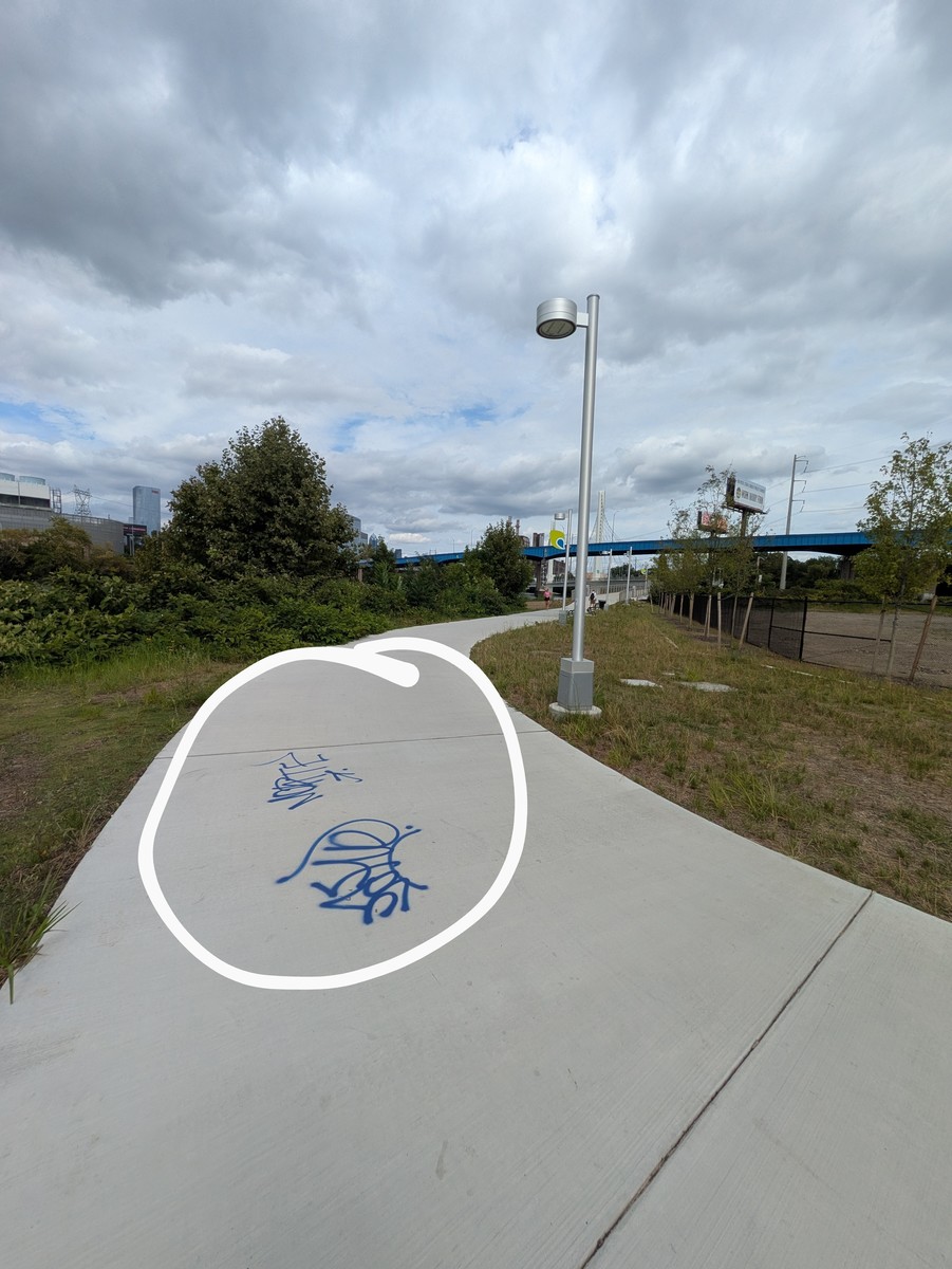 Photographic documentation of the work as submitted to the city's 311 record.
