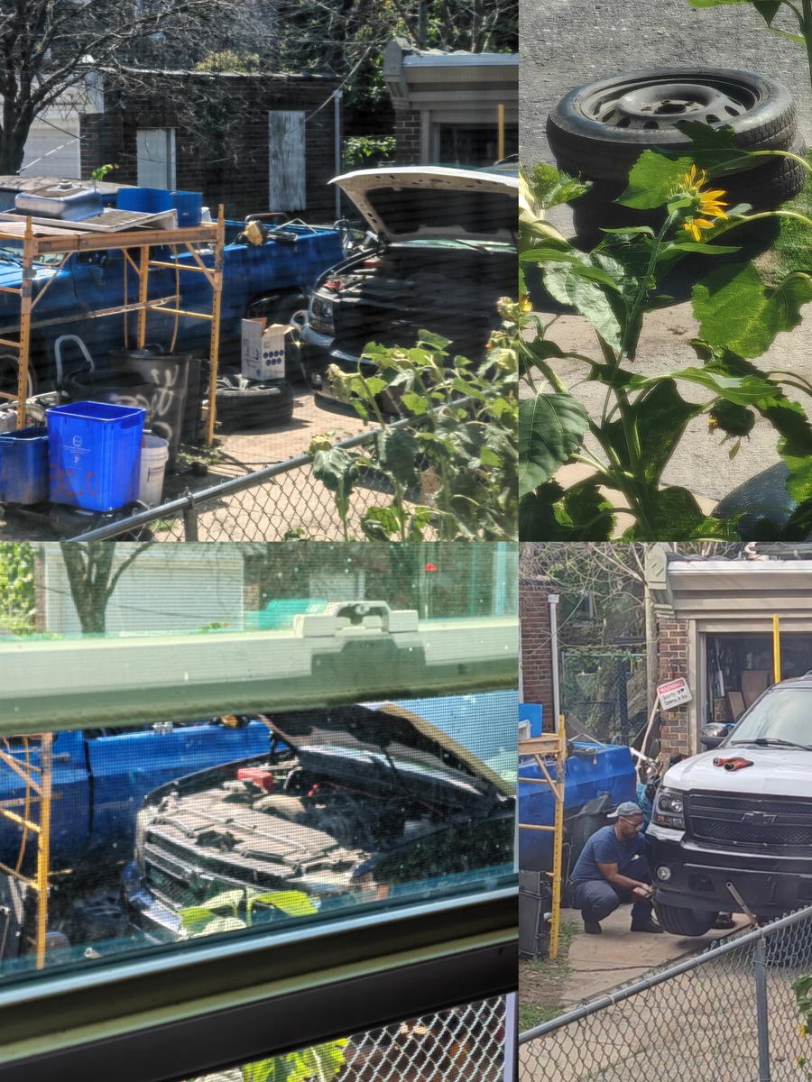 Photographic documentation of the work as submitted to the city's 311 record.