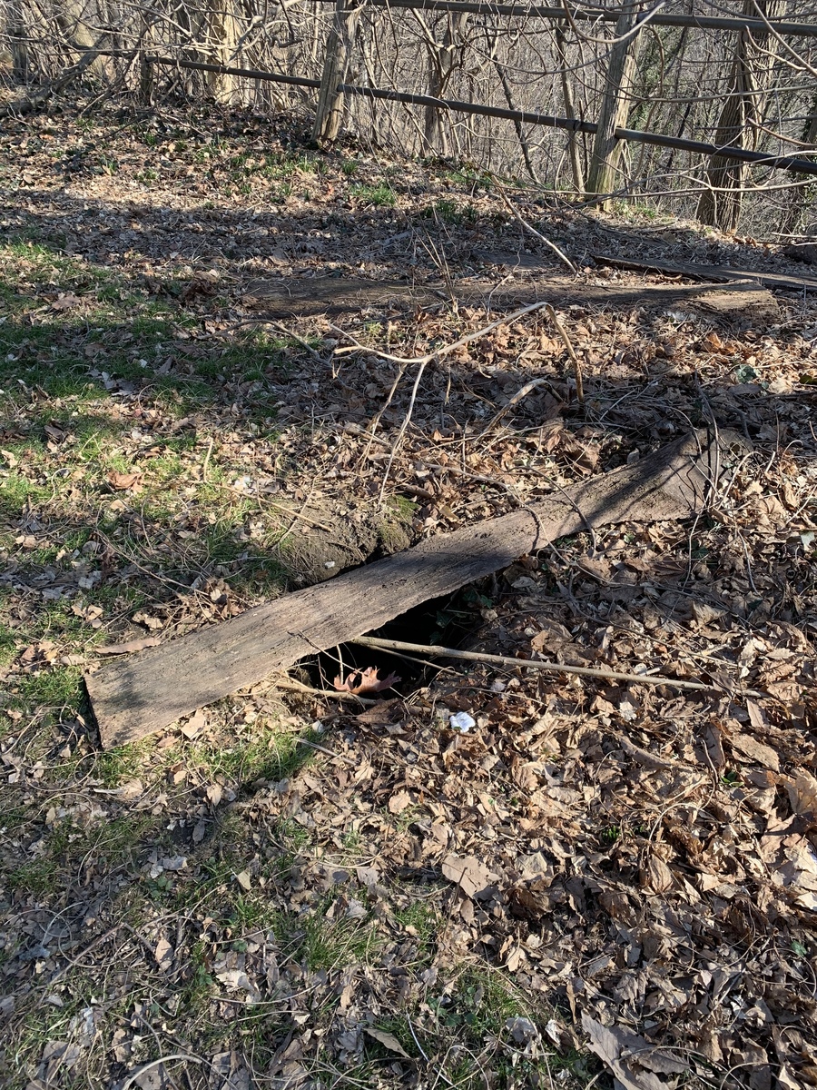 Photographic documentation of the work as submitted to the city's 311 record.