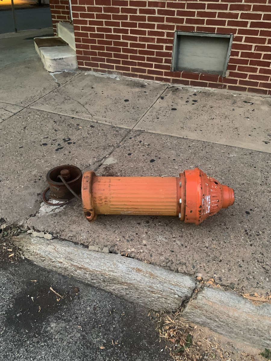 Photographic documentation of the work as submitted to the city's 311 record.