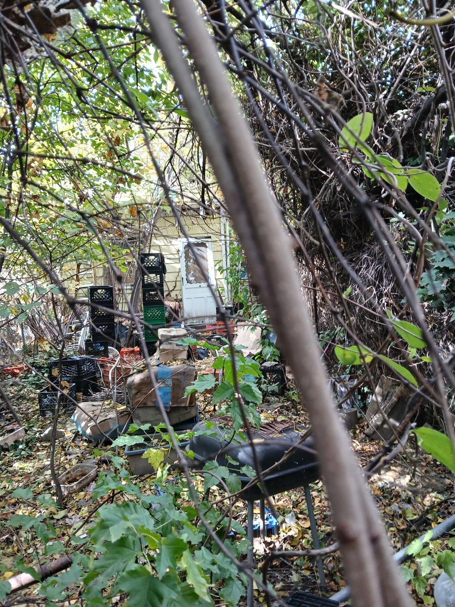 Photographic documentation of the work as submitted to the city's 311 record.