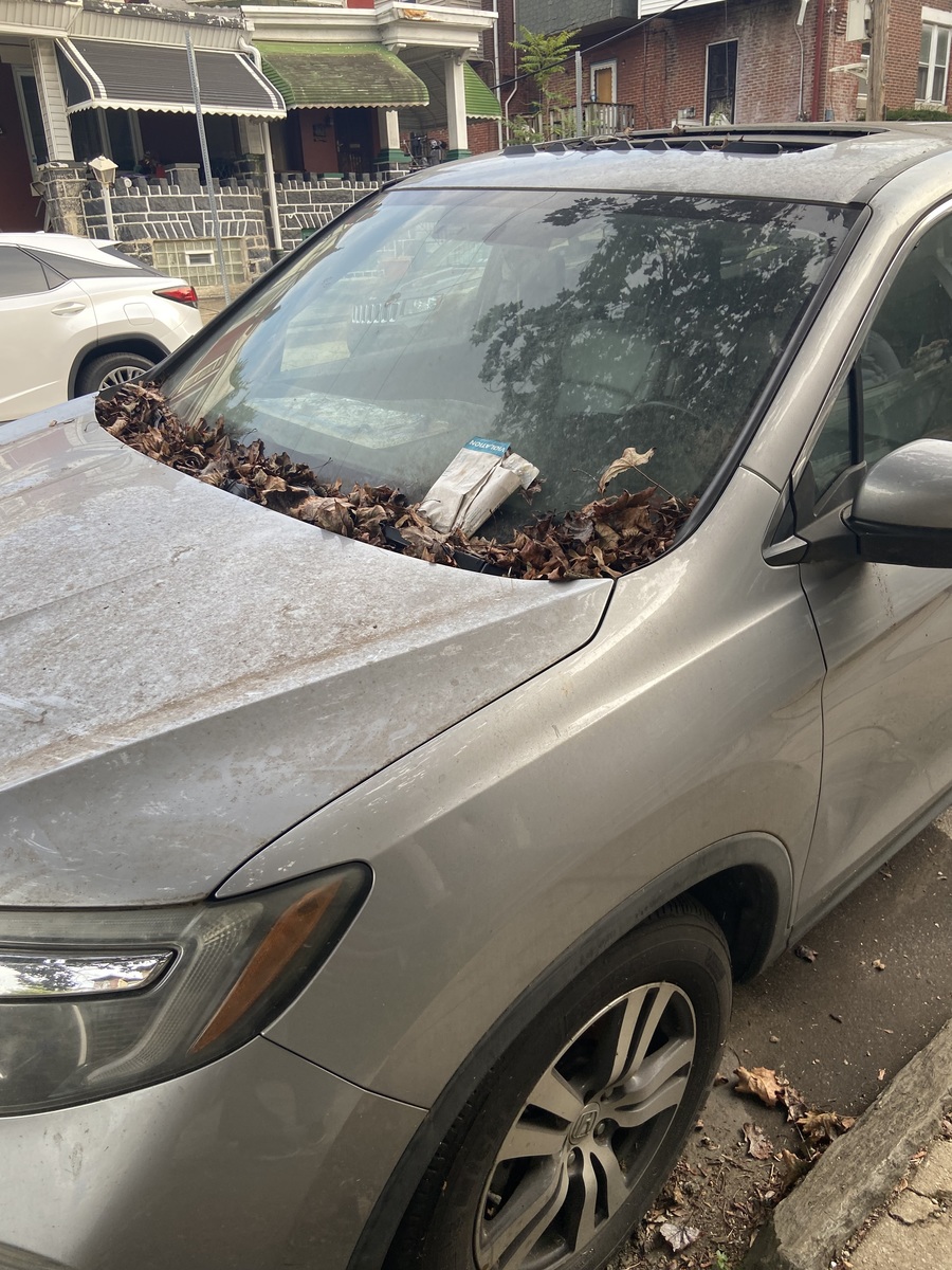 Photographic documentation of the work as submitted to the city's 311 record.