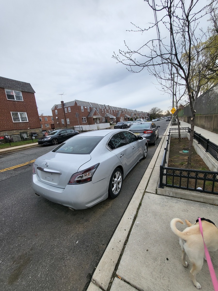 Photographic documentation of the work as submitted to the city's 311 record.