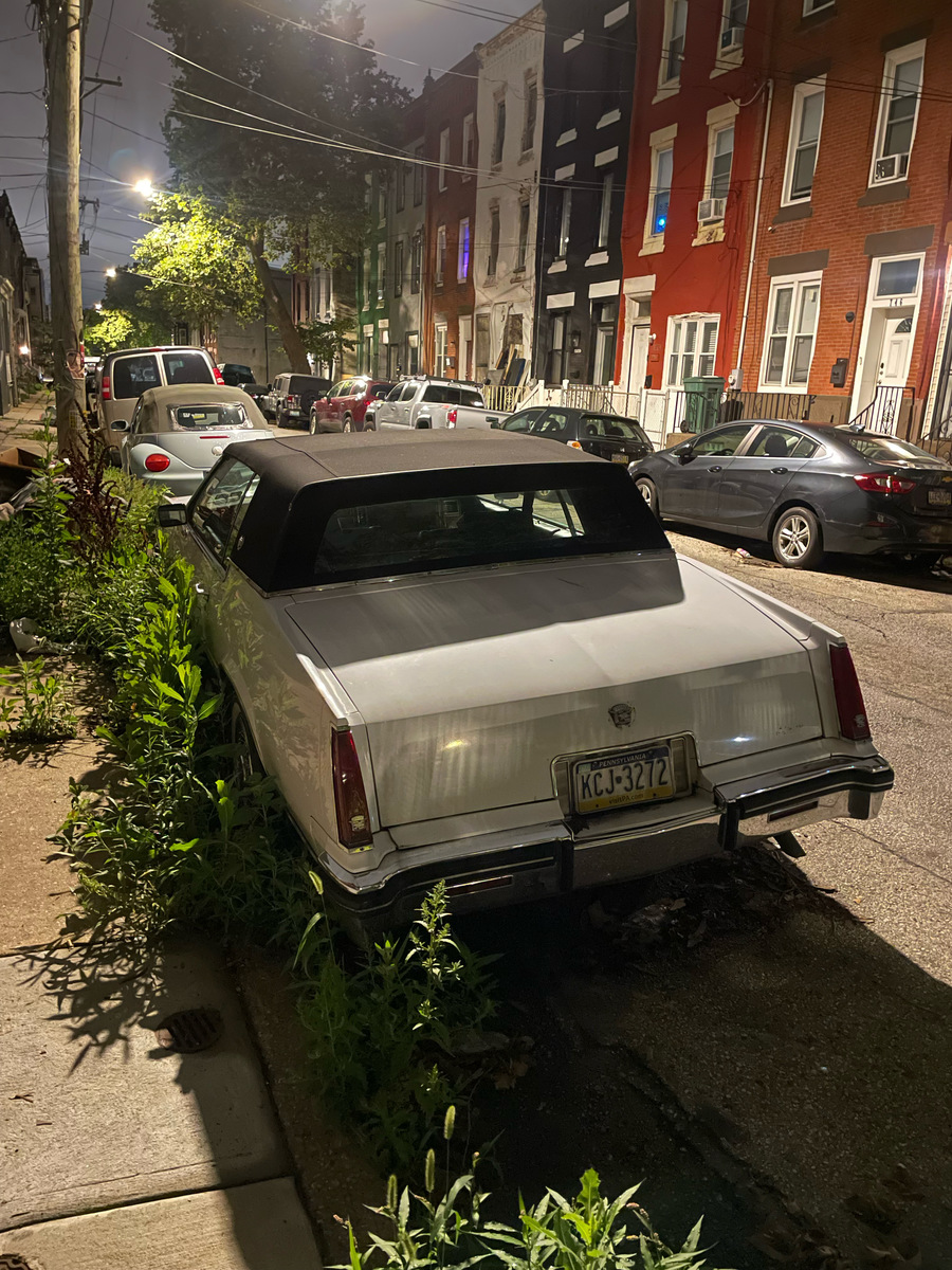 Photographic documentation of the work as submitted to the city's 311 record.