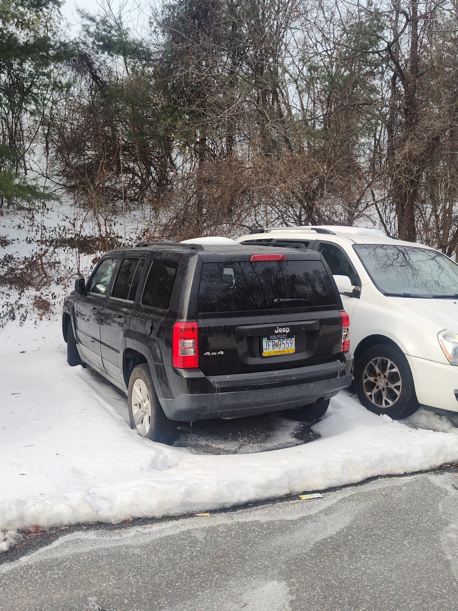 Photographic documentation of the work as submitted to the city's 311 record.