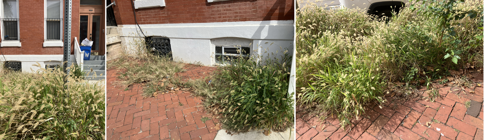 Photographic documentation of the work as submitted to the city's 311 record.