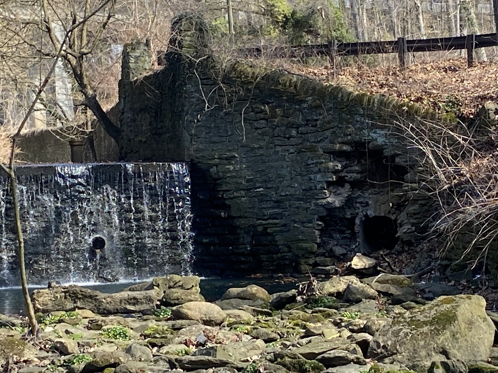Photographic documentation of the work as submitted to the city's 311 record.