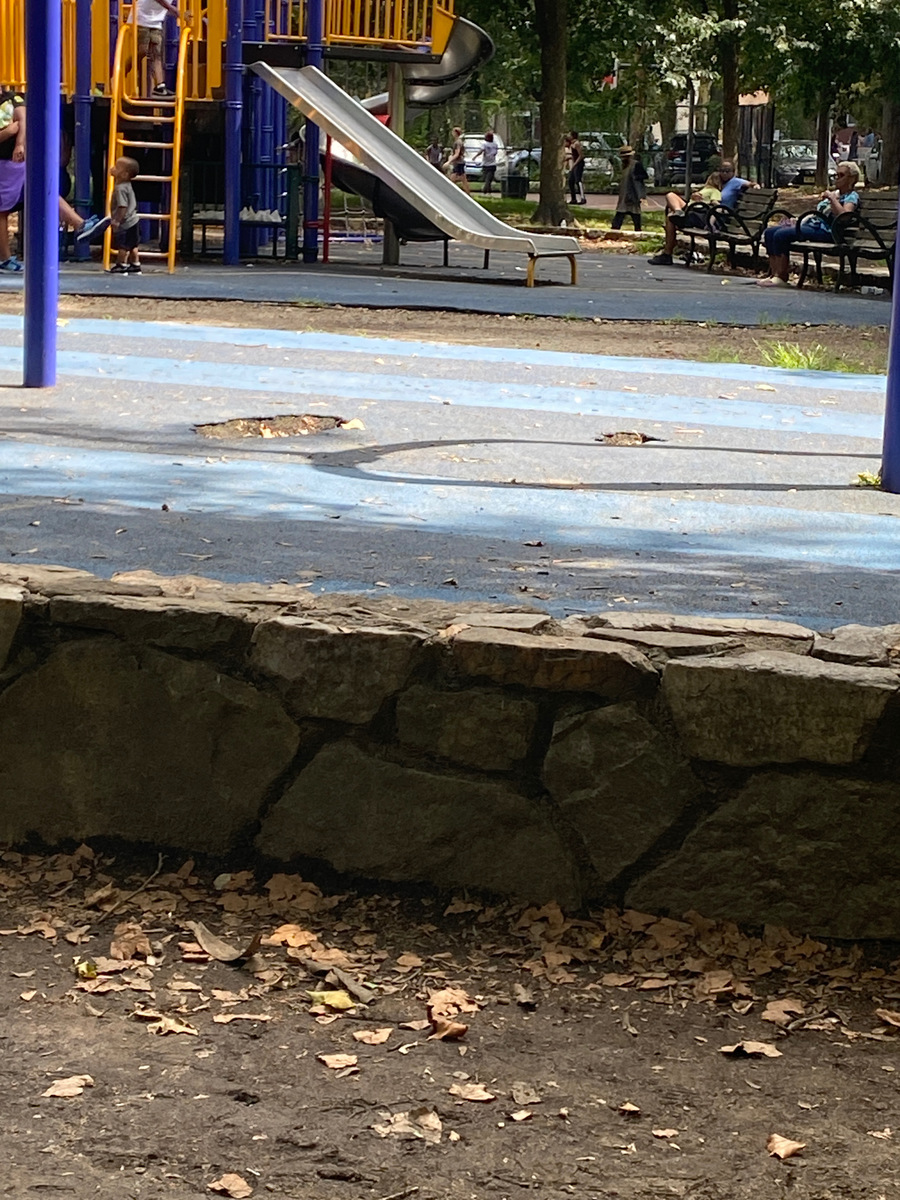 Photographic documentation of the work as submitted to the city's 311 record.
