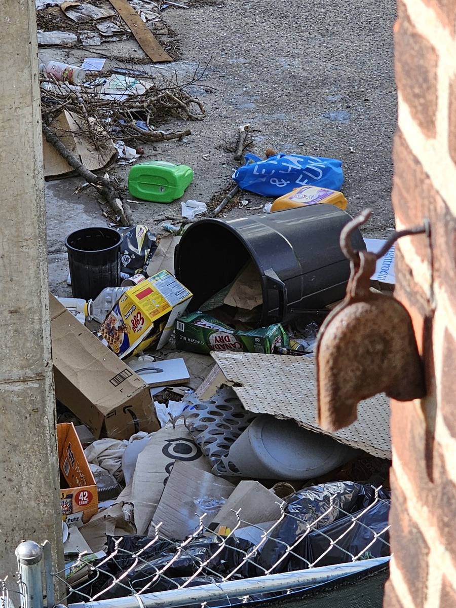 Photographic documentation of the work as submitted to the city's 311 record.