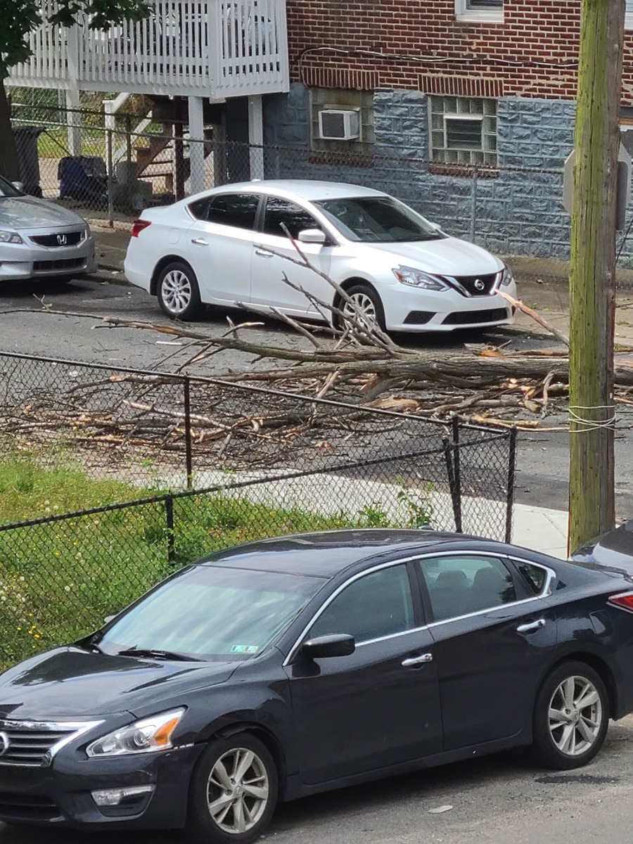 Photographic documentation of the work as submitted to the city's 311 record.