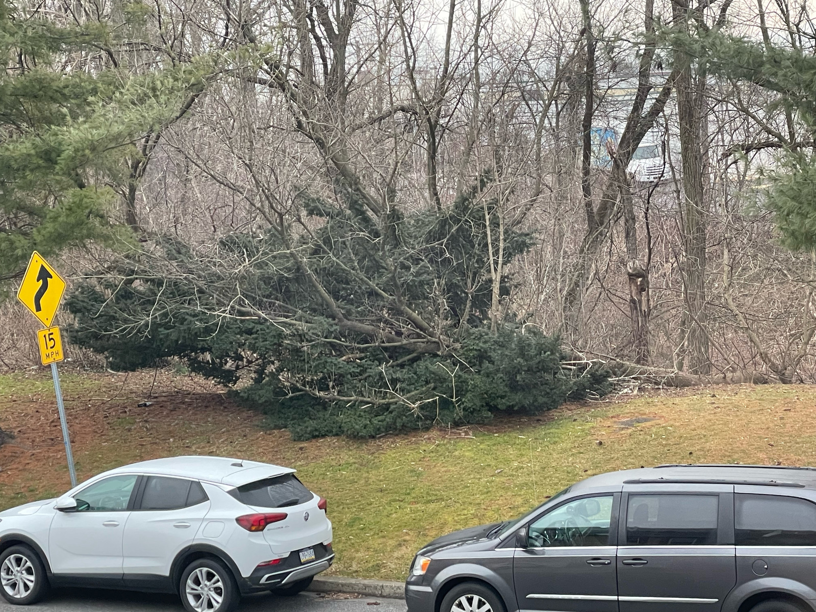 Photographic documentation of the work as submitted to the city's 311 record.