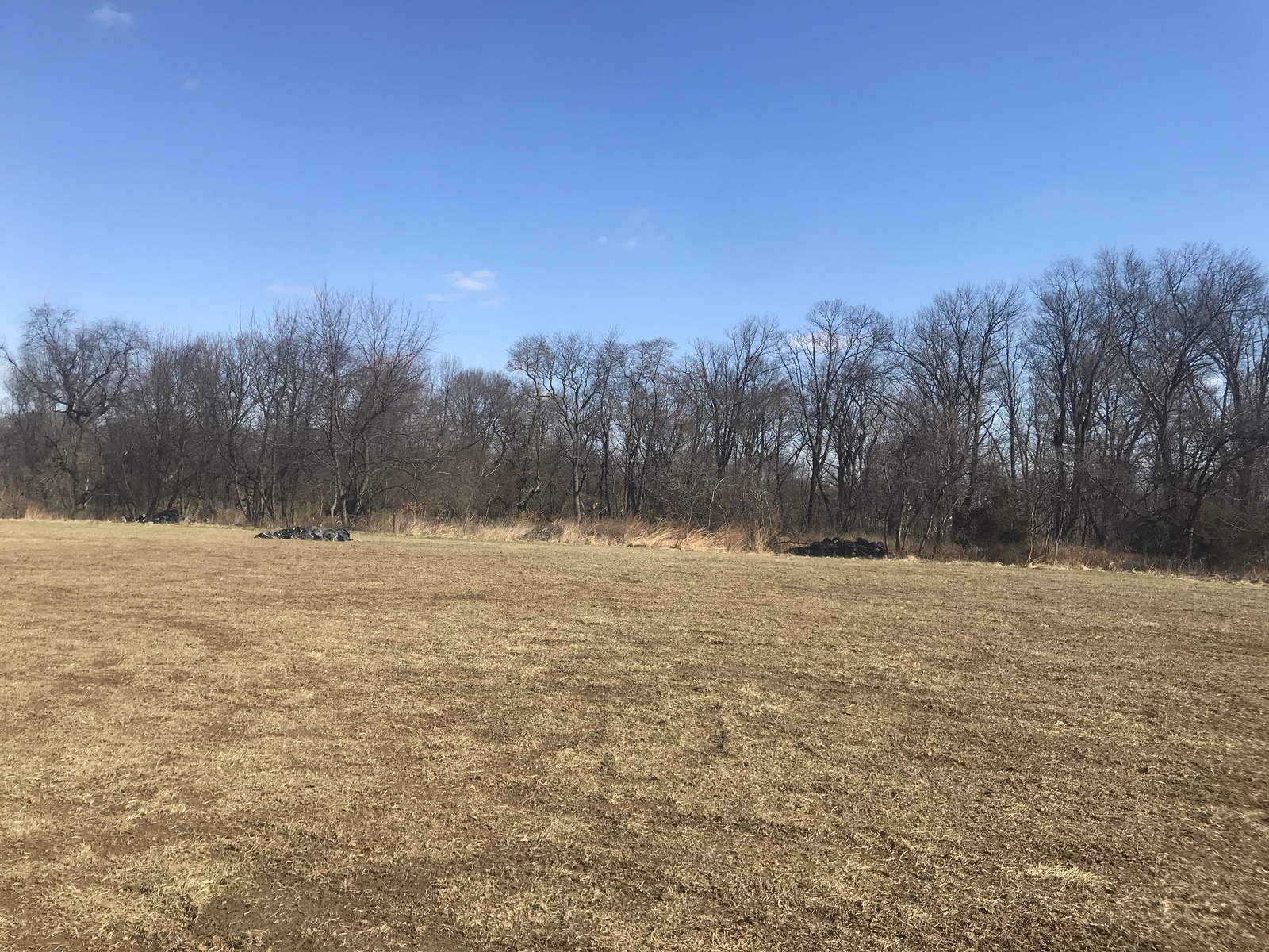 Photographic documentation of the work as submitted to the city's 311 record.