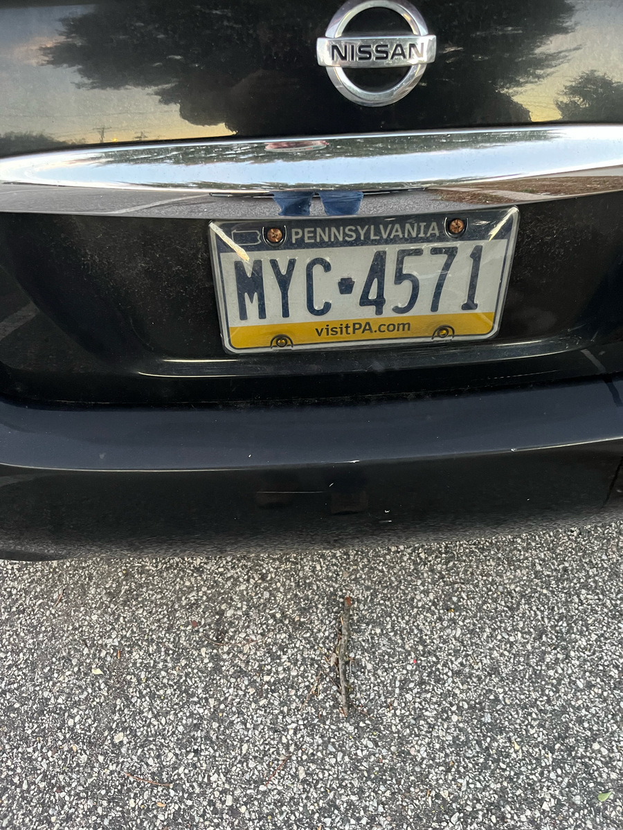 Photographic documentation of the work as submitted to the city's 311 record.