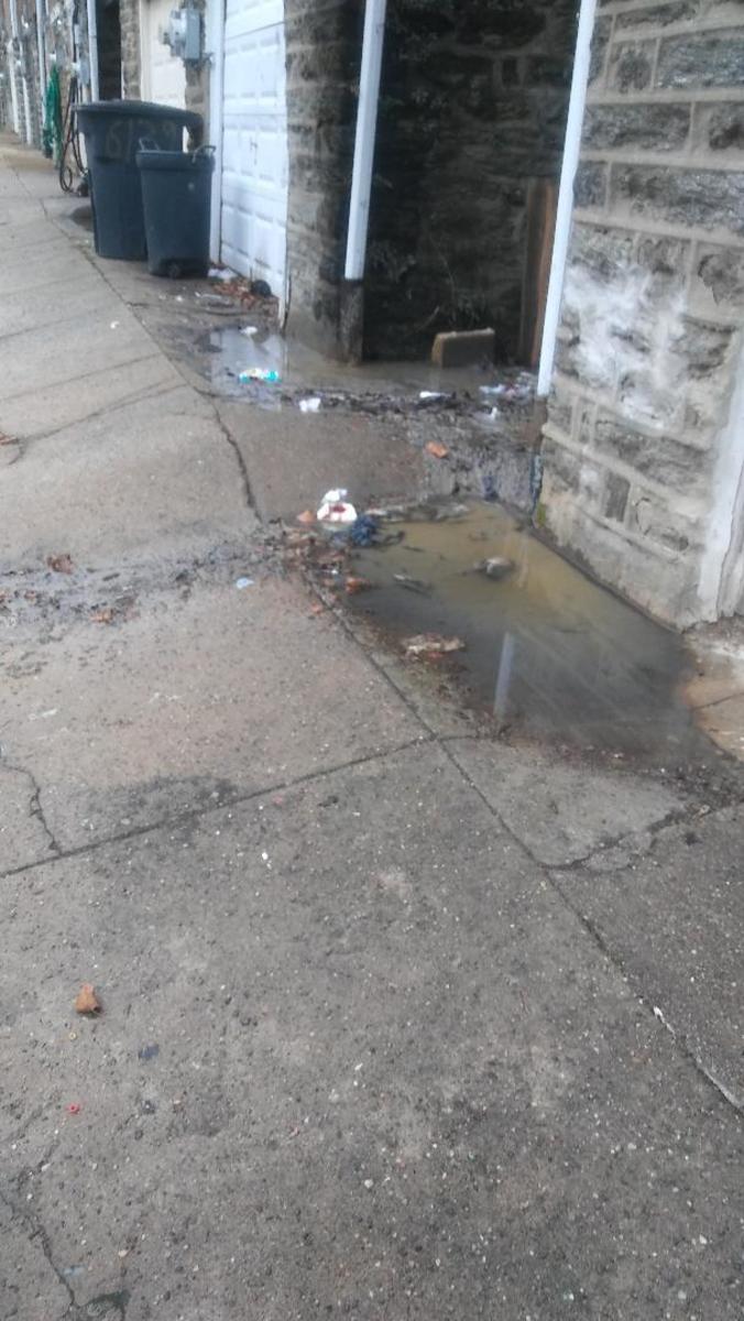 Photographic documentation of the work as submitted to the city's 311 record.