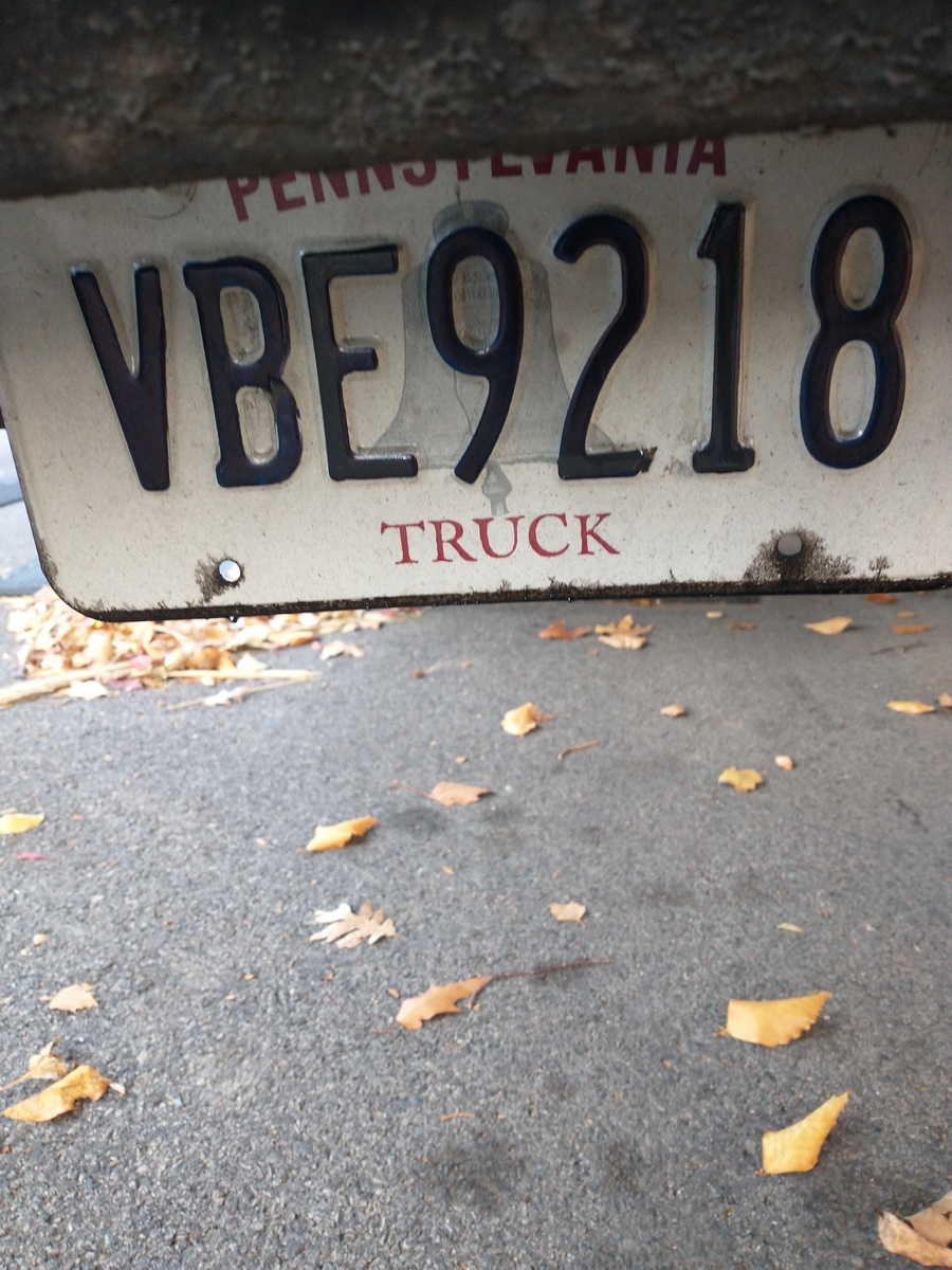 Photographic documentation of the work as submitted to the city's 311 record.