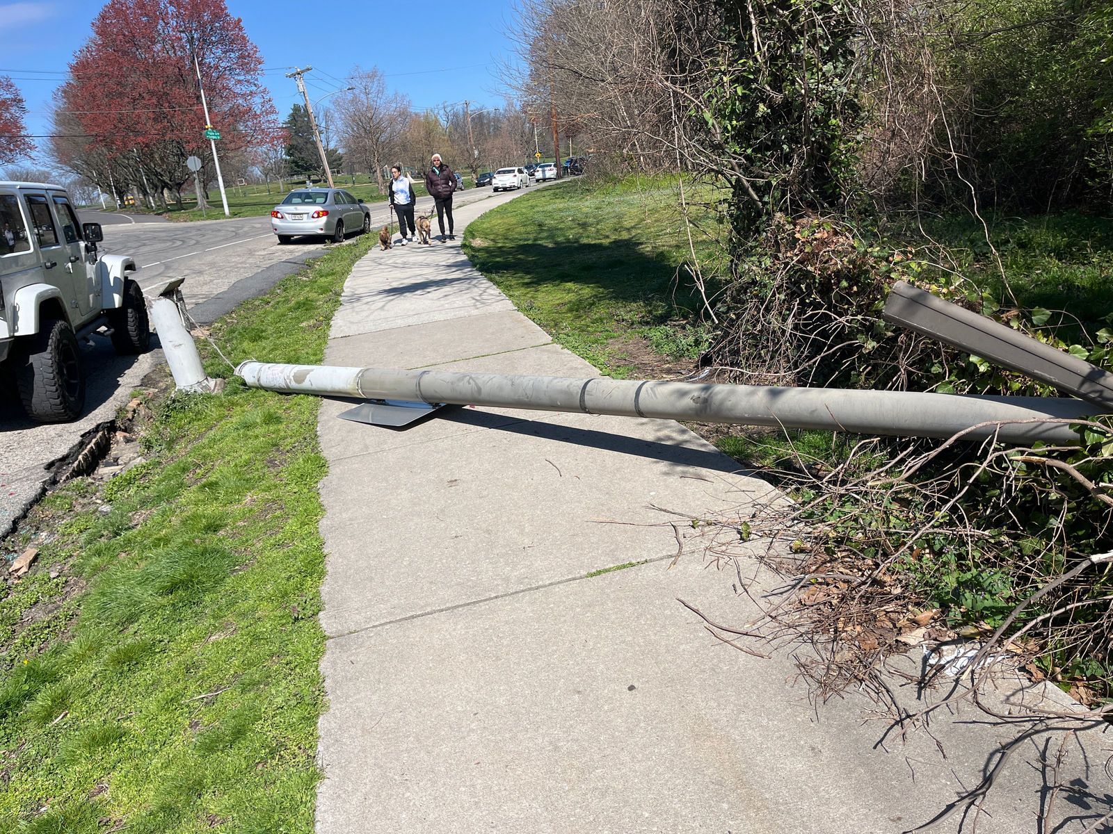 Photographic documentation of the work as submitted to the city's 311 record.